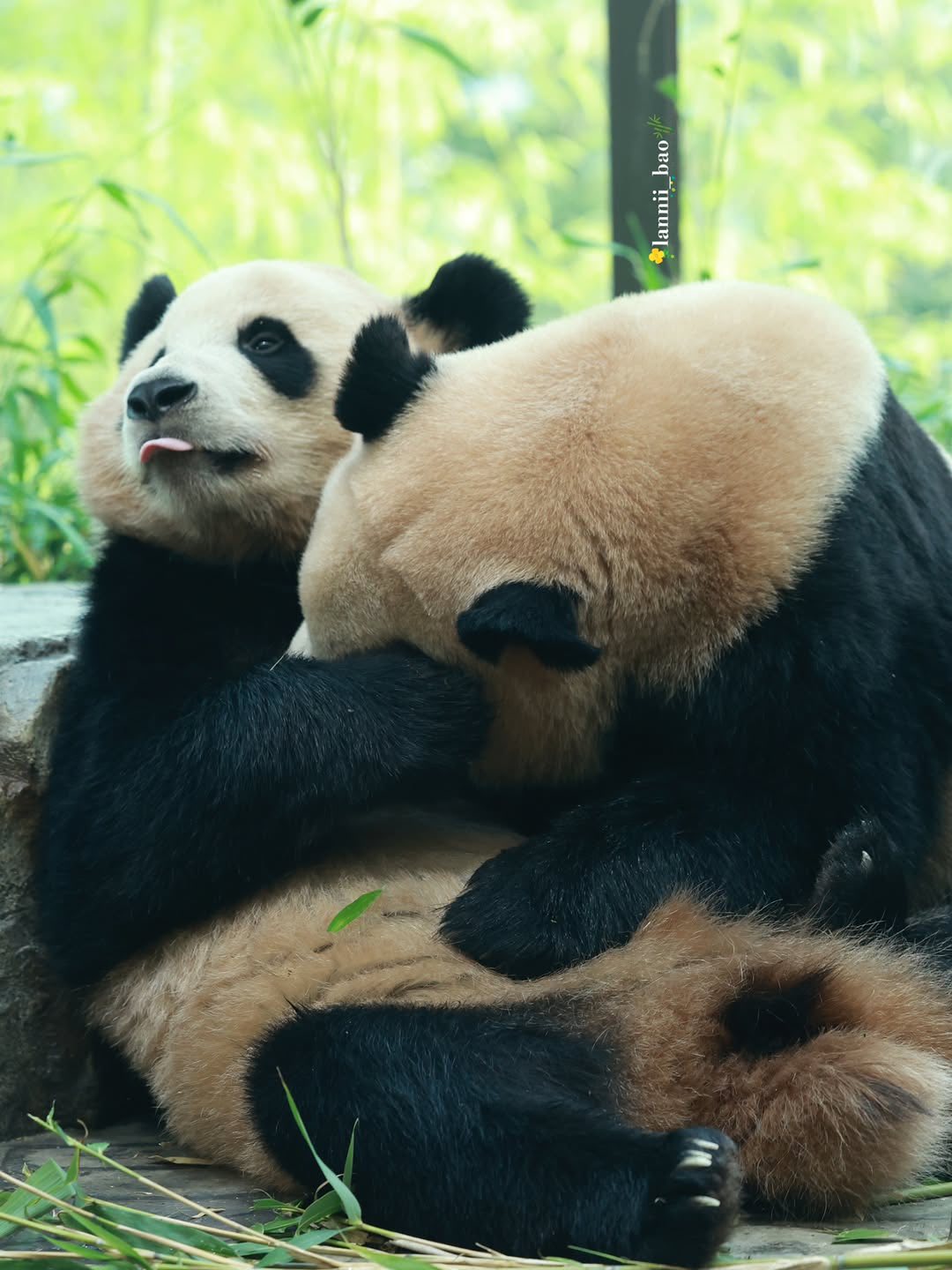 Rui Hui đáng yêu added a new photo. - Rui Hui đáng yêu