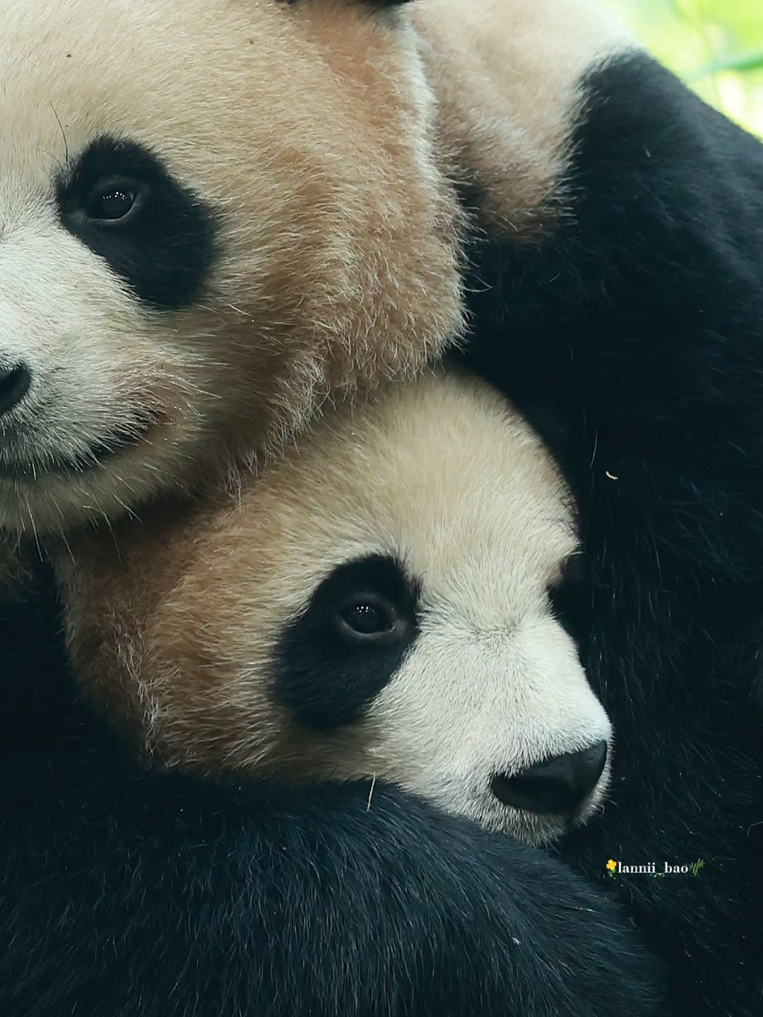 Rui Hui đáng yêu added a new photo. - Rui Hui đáng yêu