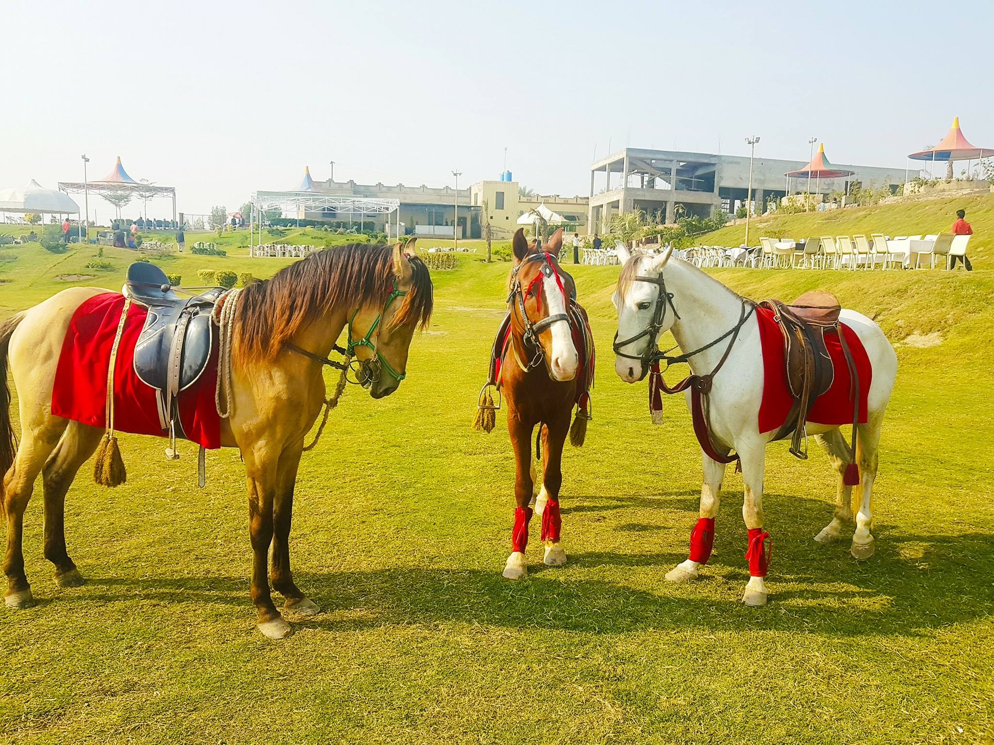 Multan Riding Club | Multan