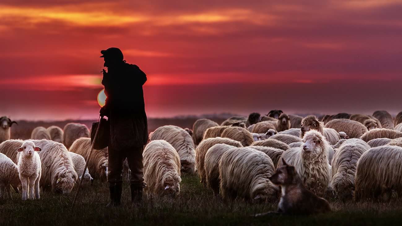 Comuna Satchinez { Hodoni-Satchinez-Bărăteaz } | Facebook