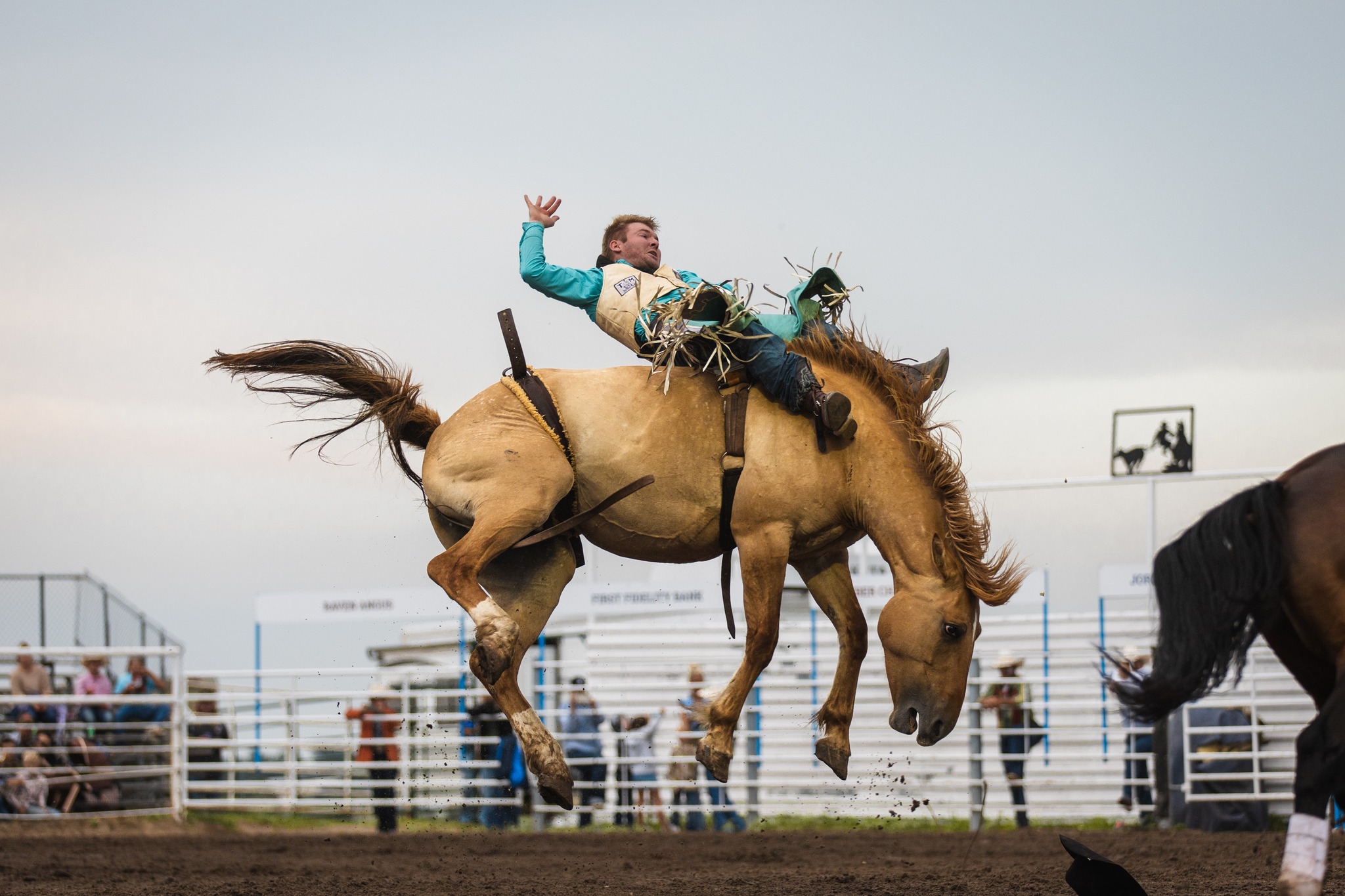 Burke Stampede Rodeo added a new photo. - Burke Stampede Rodeo
