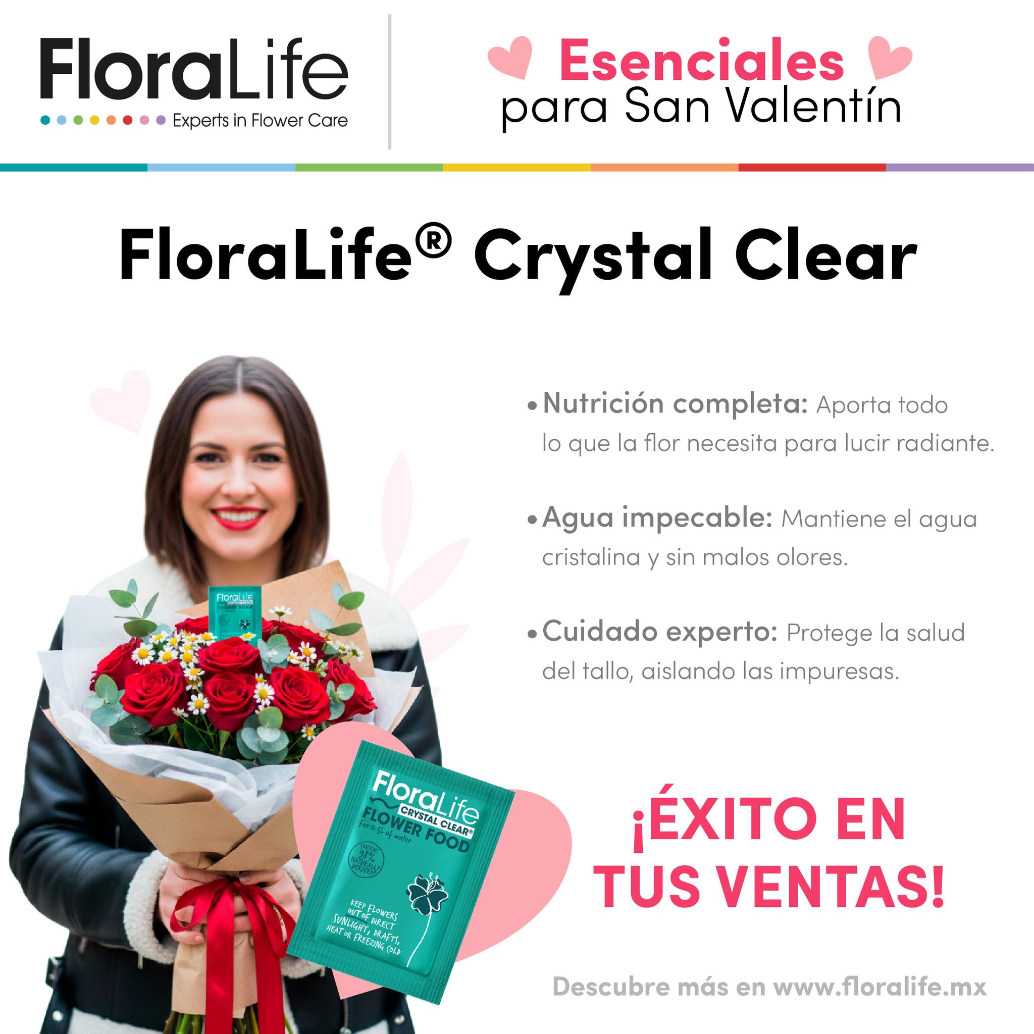 OASIS Productos Florales... - OASIS Productos Florales México