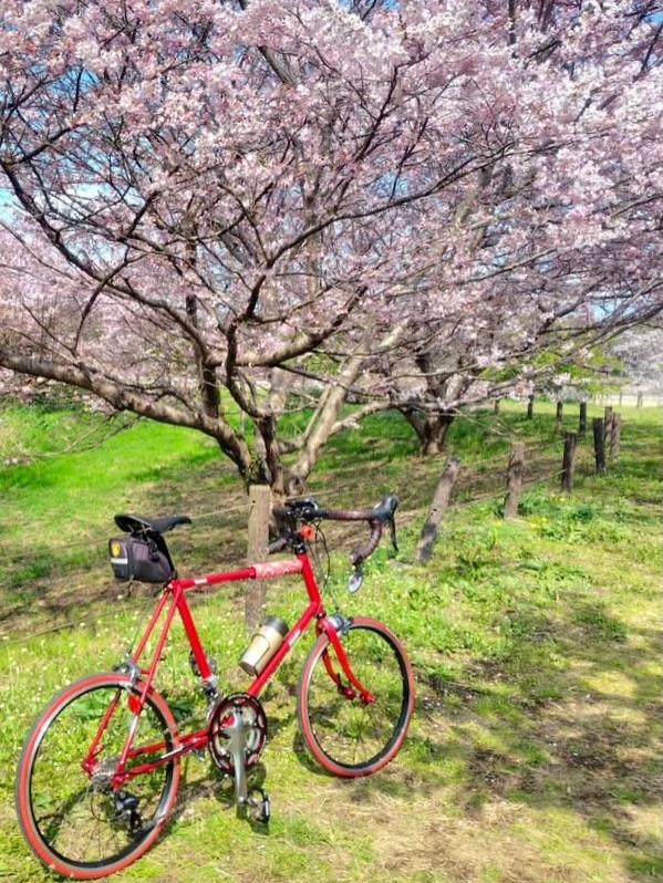 自転車工房 CYCLE MAKES | Kawasaki-shi Kanagawa
