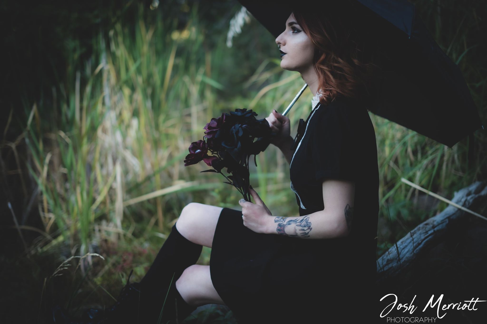 Josh Merriott Photography - Home | Facebook