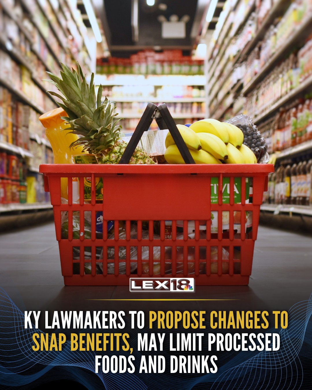 LEX - The leaders of the Make America Healthy Again Kentucky Task Force ...