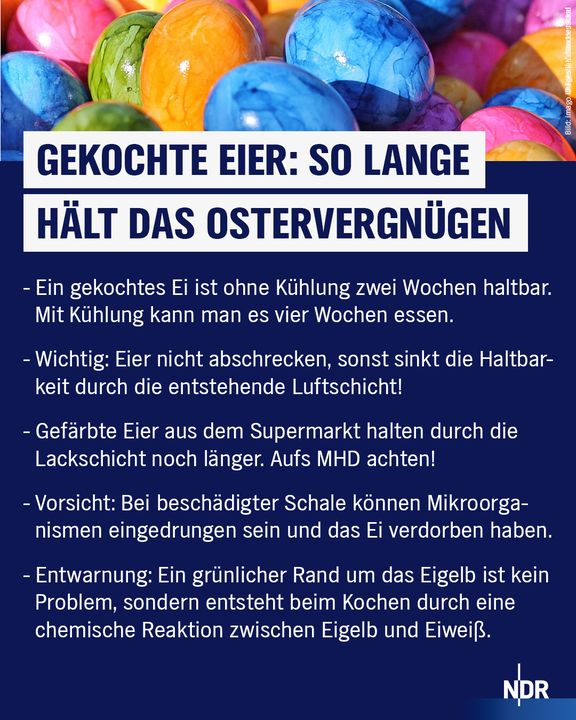 pezzibälle aufbewahrung Sport-Thieme Gymnastikball Halterung | Wandhalterung für Bälle mit 45-90 cm | Für Sitzbälle, Pezzibälle, ABS Powerballs und Fußbälle im Netz | Nutzlast ca. 4 kg Sport-Tec Powerbag Rack Aufbewahrungsständer räderräder design Wähle eine Farbe:Rosa