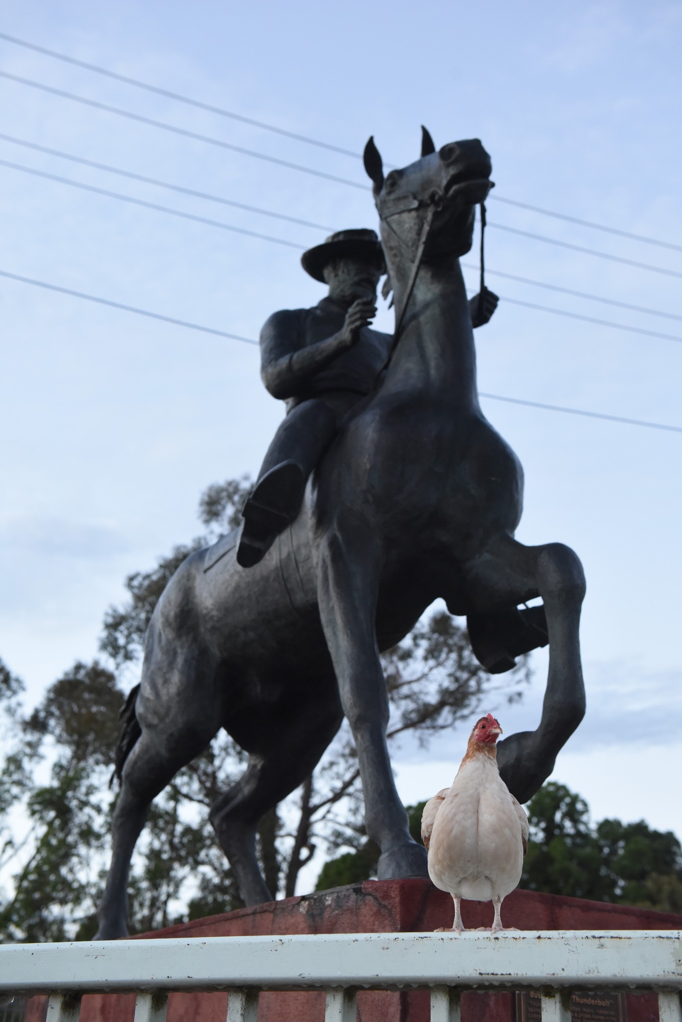 LIFE - Bushranger, Captain Thunderbolt. His actual name was Frederick ...