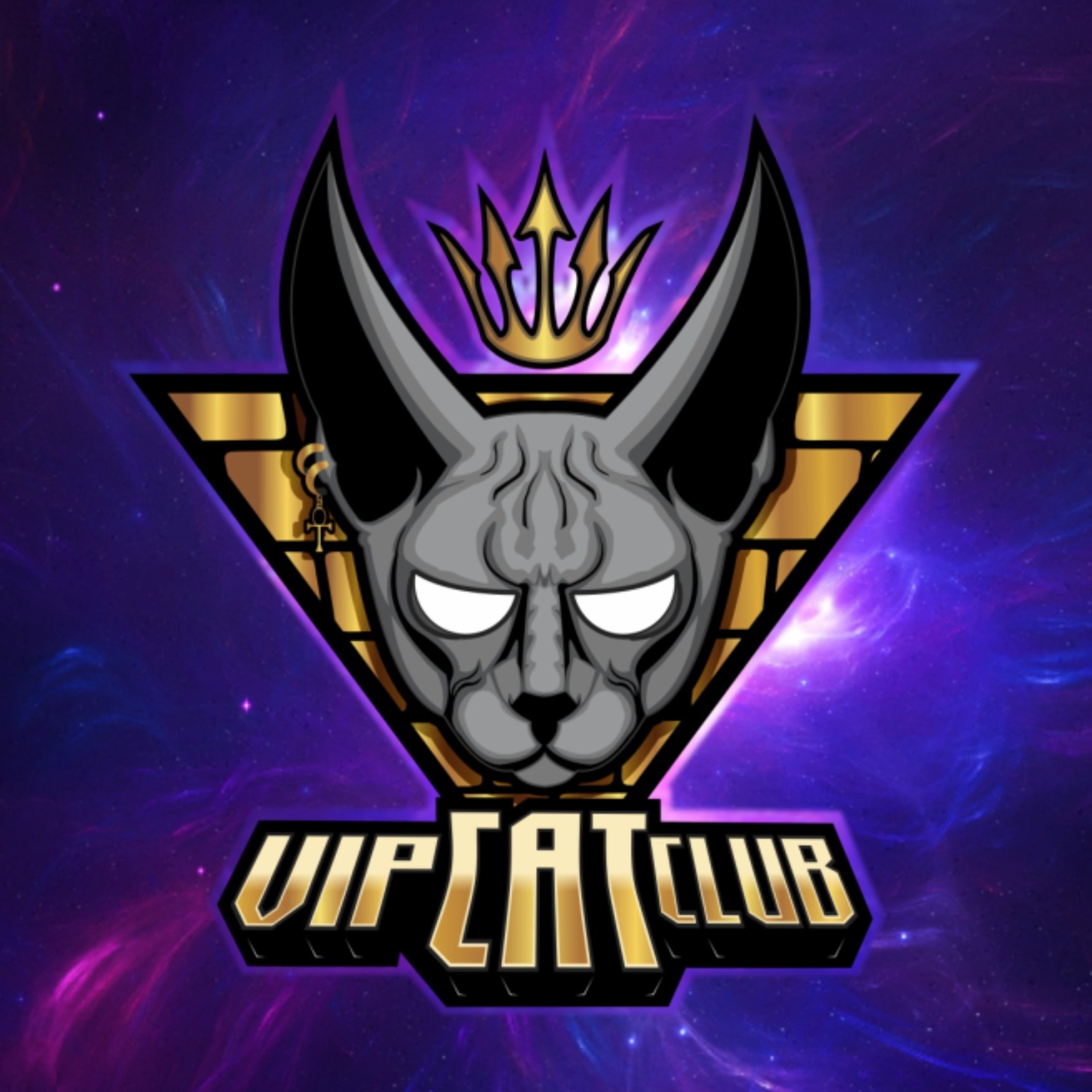 VIP CAT CLUB