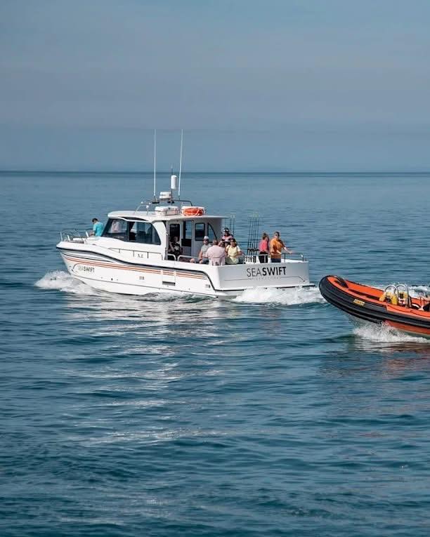 Sea Swift Charters
