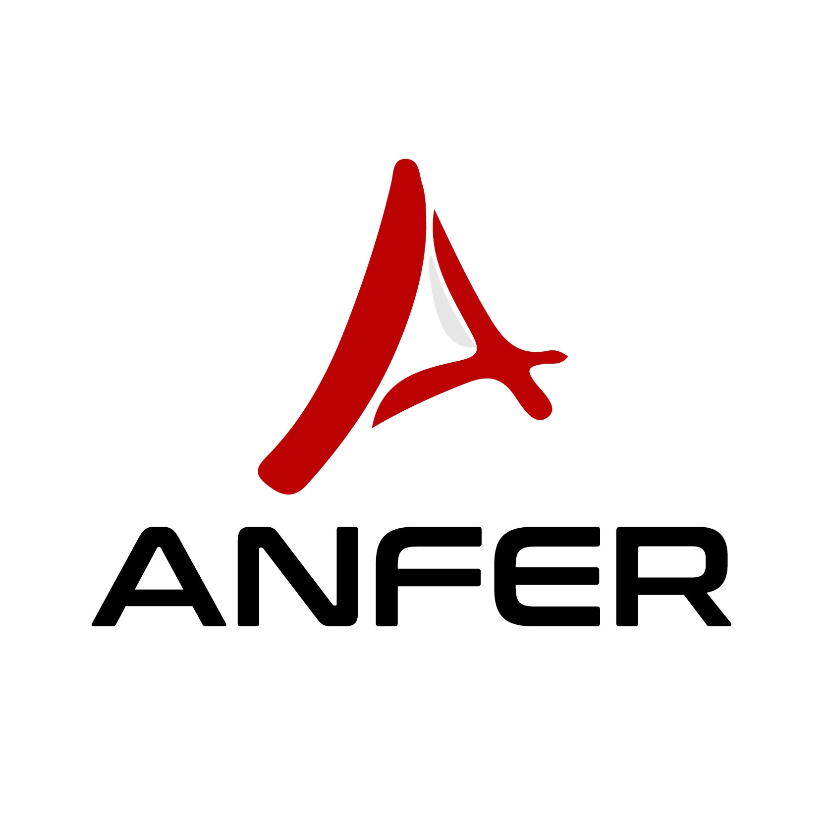 Anfer Ingeniería SAS.