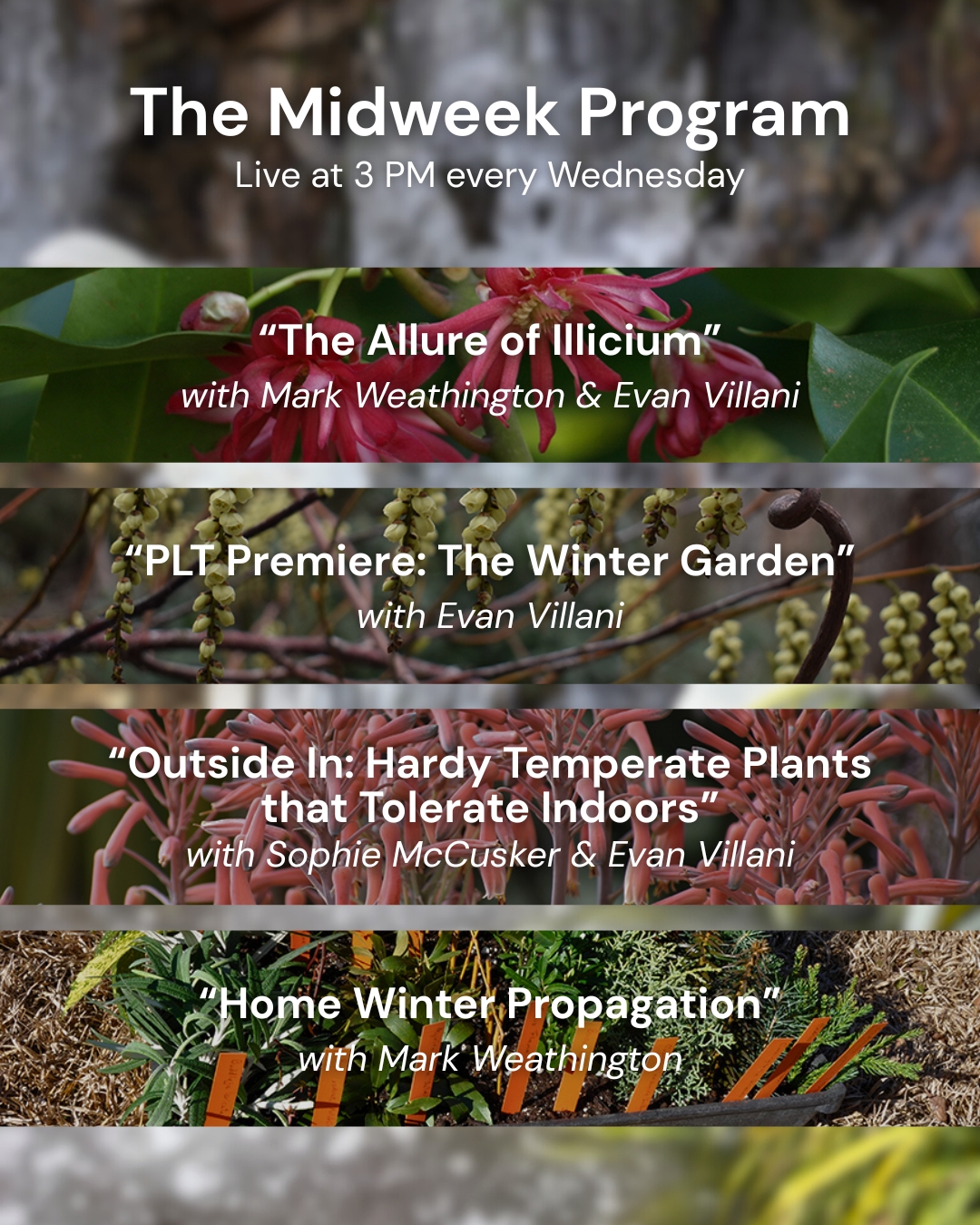 JC Raulston Arboretum added a new... - JC Raulston Arboretum