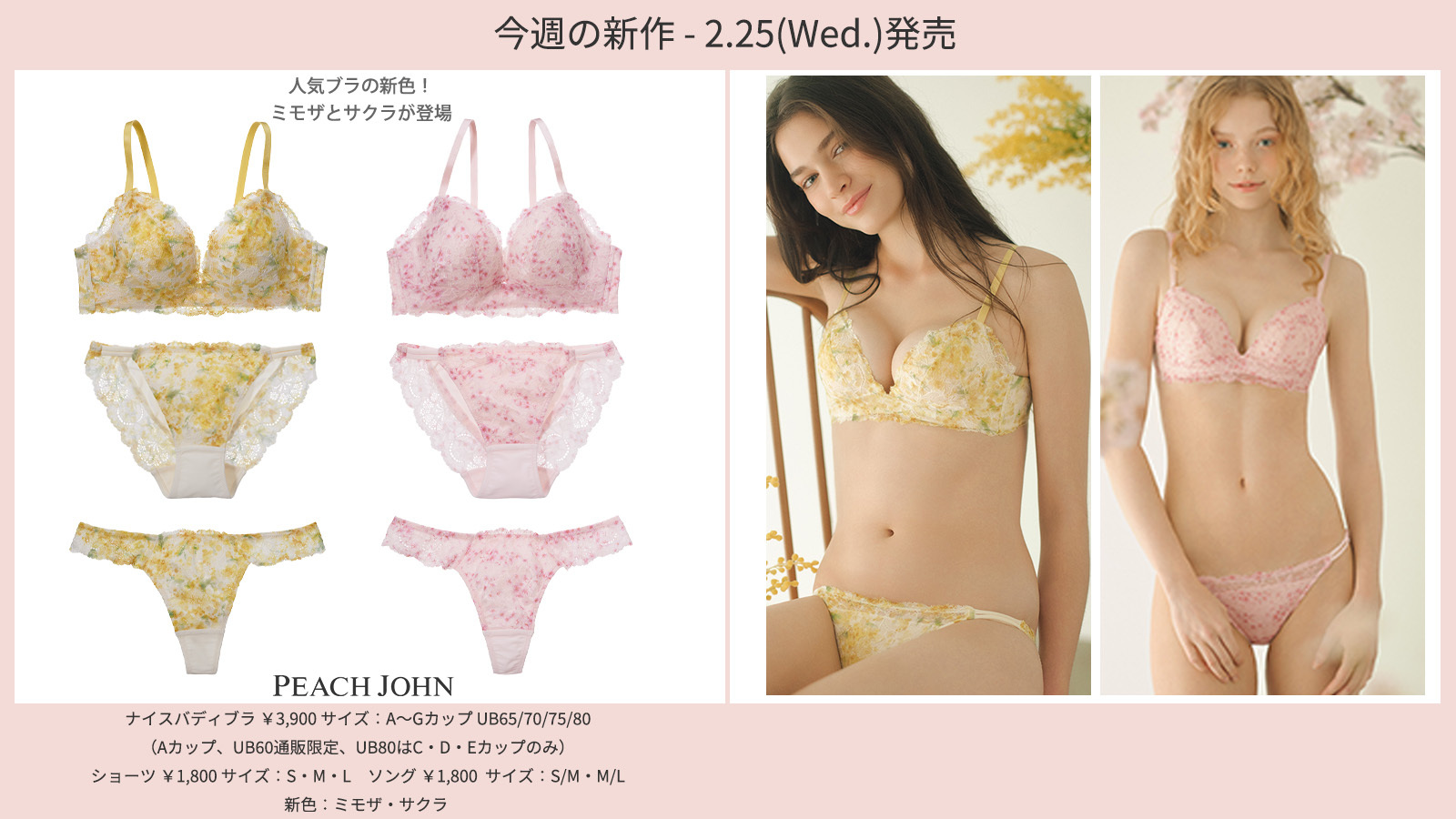 2.25(wed.)発売 ピーチ・ジョン 新商品情報 ＼ あの大人気ブラに