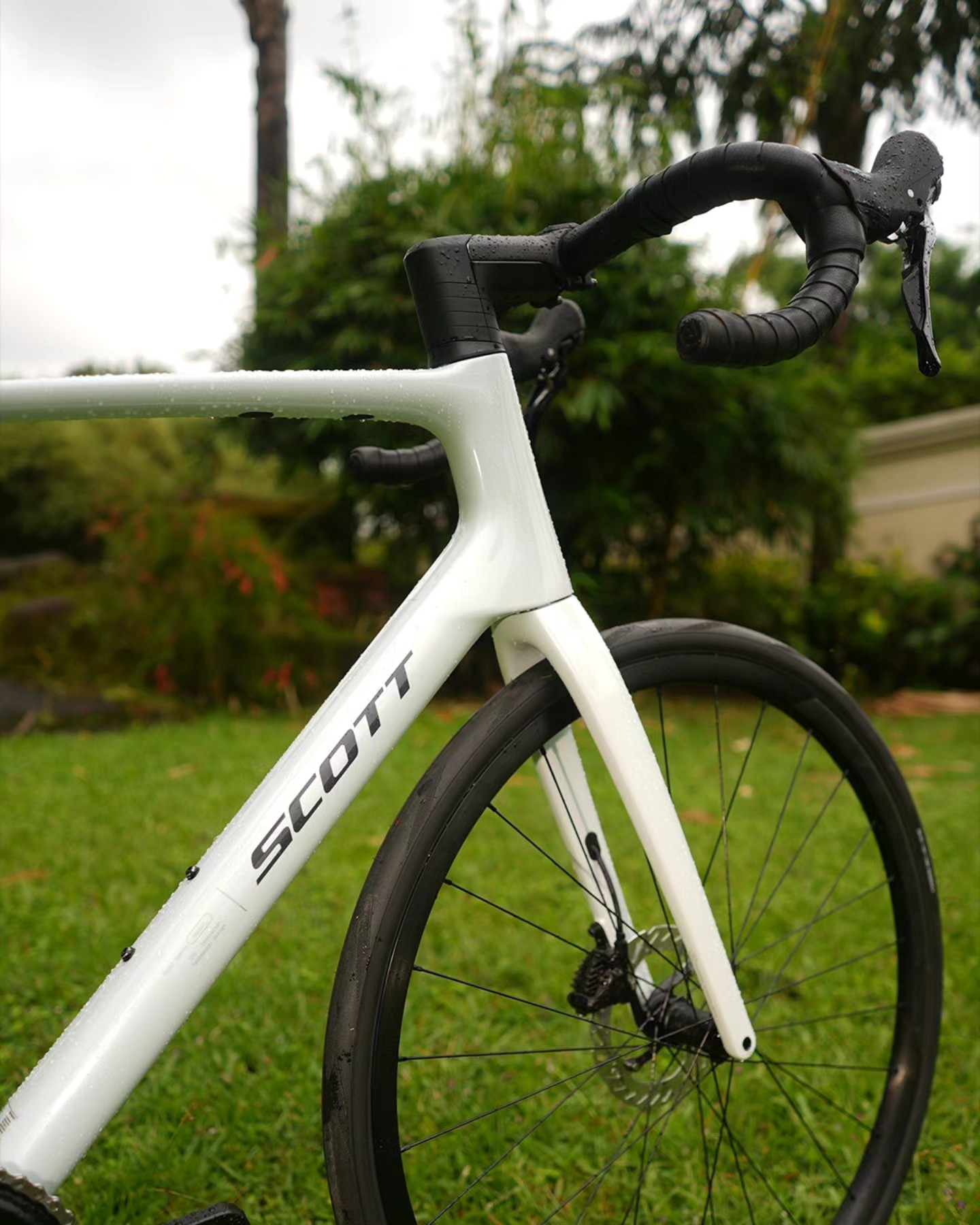 SCOTT Sports India - SCOTT PLASMA 10 BIKE KEY FEATURES Plasma 4 Carbon ...