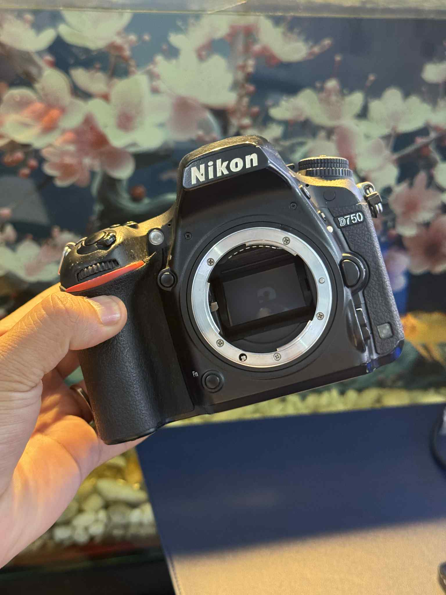 XÓM NIKON (2025) | Nikon D750 | Facebook