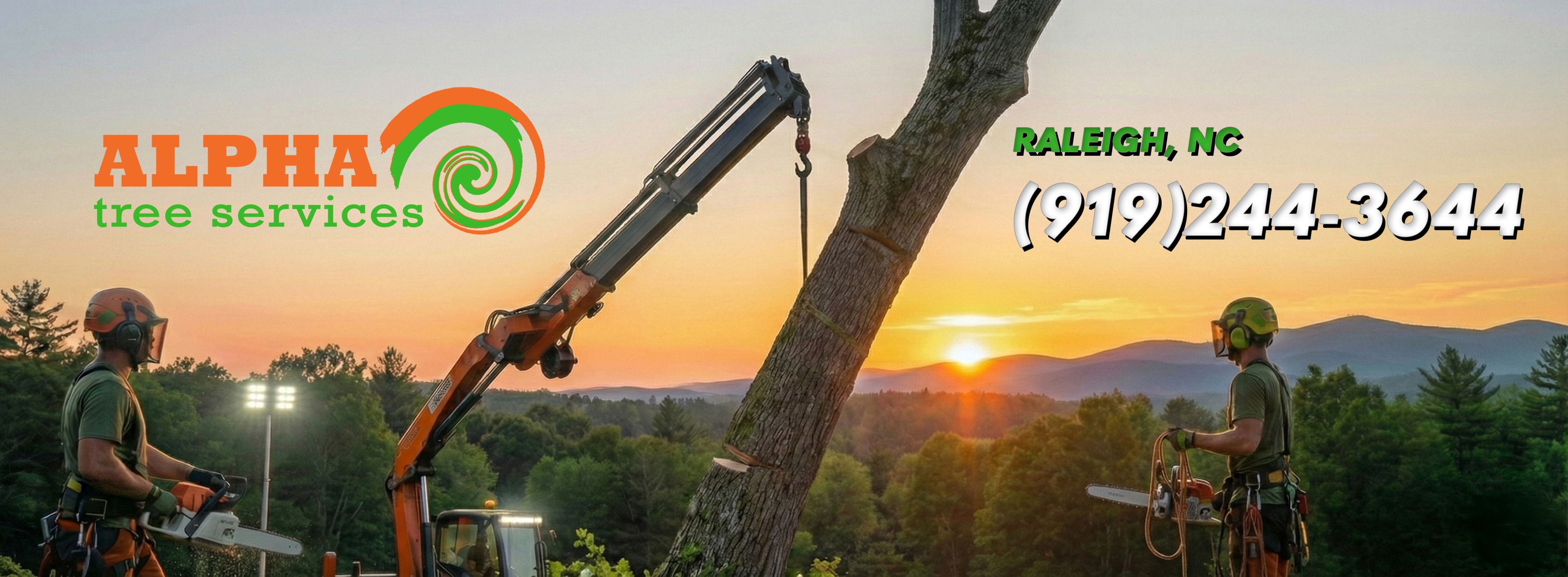 Alpha Tree Services | Raleigh NC