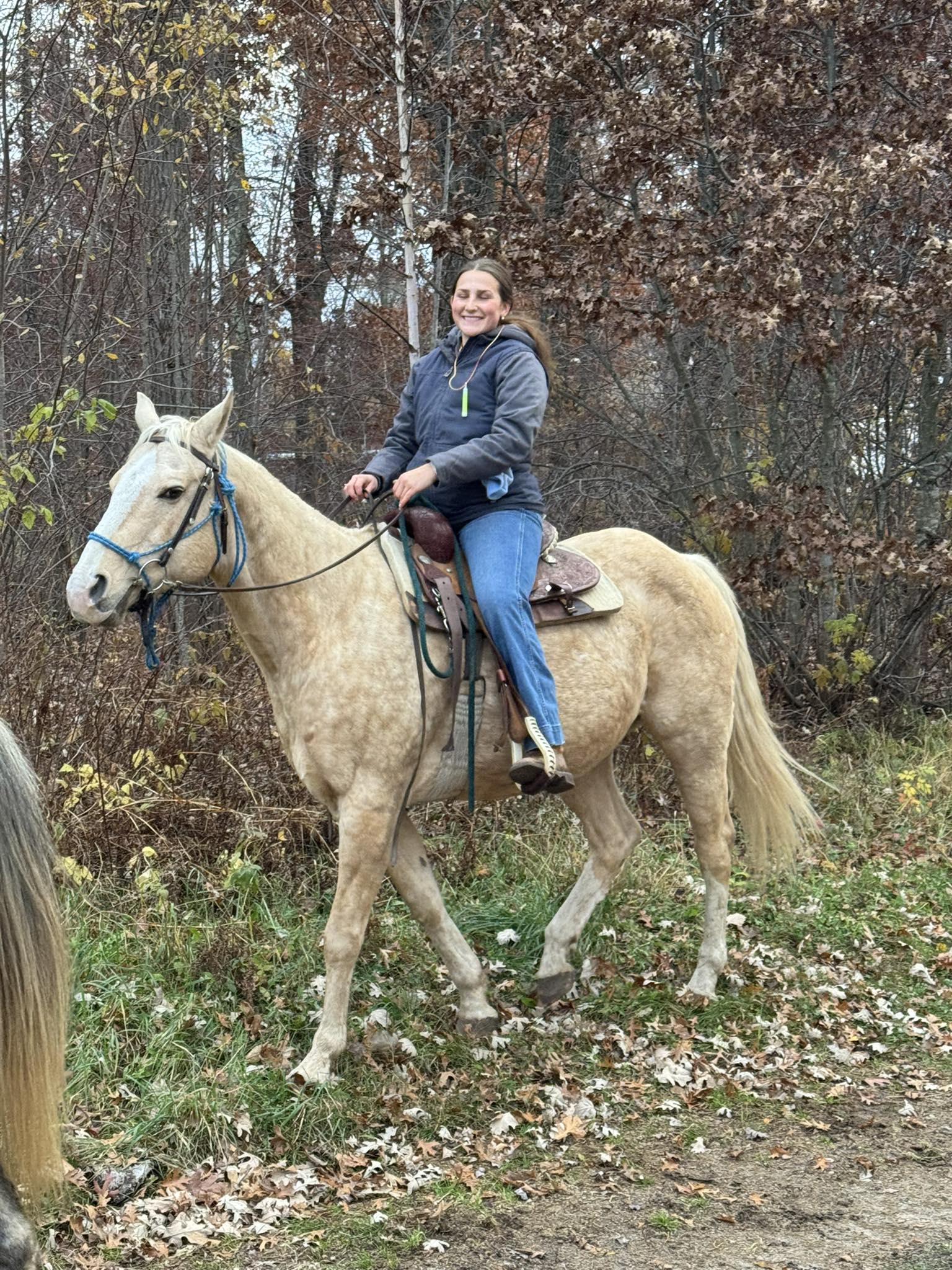 Outback Trail Rides