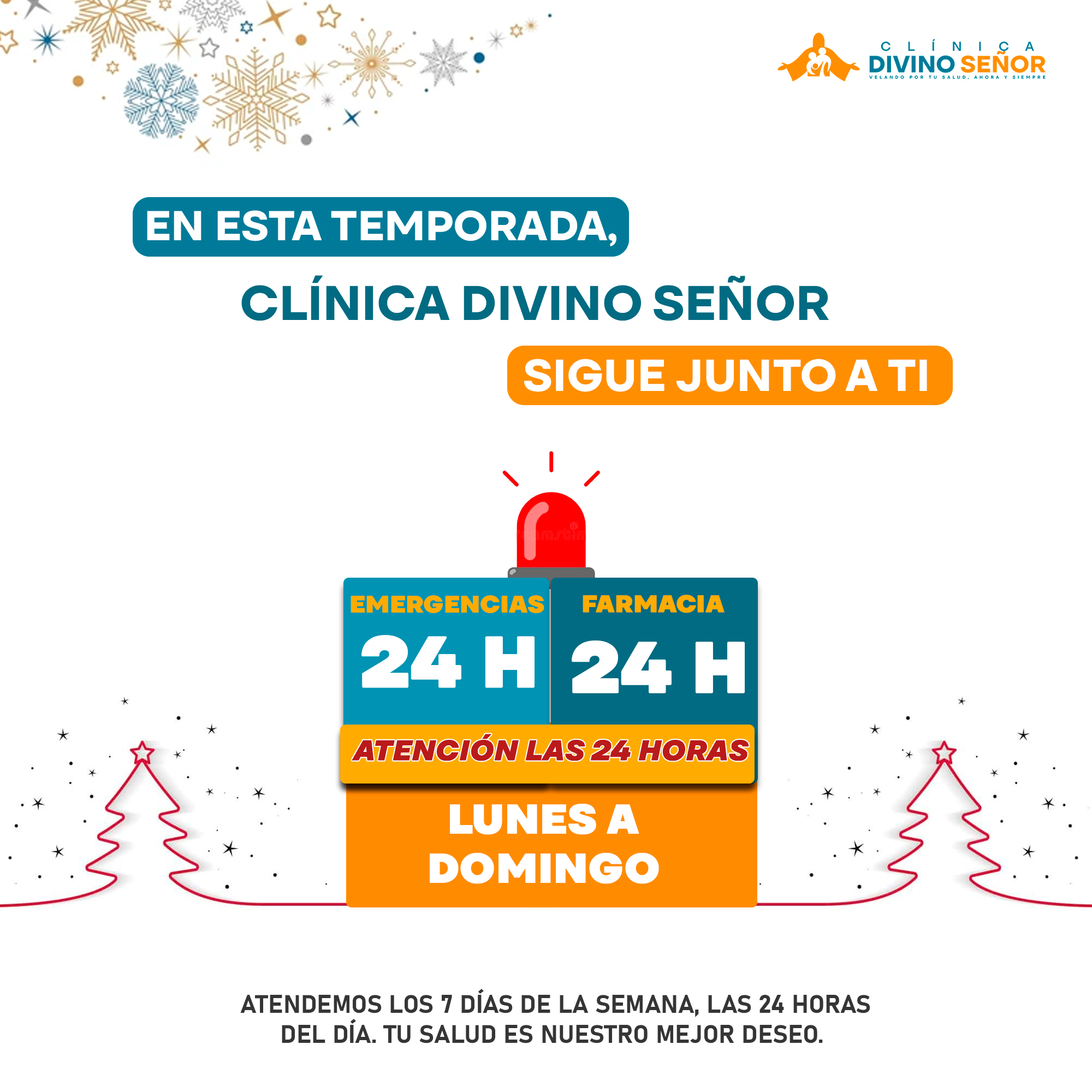 💥 CÁLCULOS EN LA VESÍCULA 💥 👉Los... - Clínica Divino Señor | Facebook