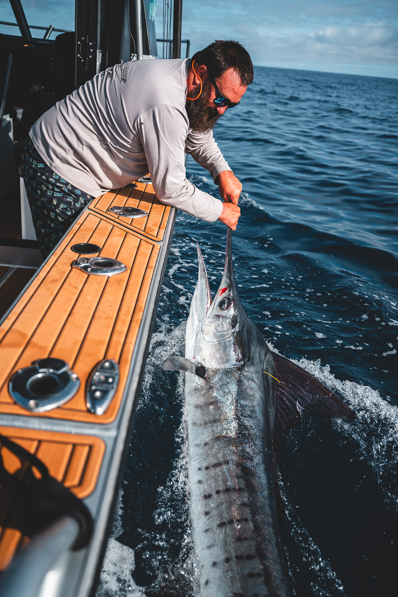 Exploding Fish | Sunshine Coast QLD