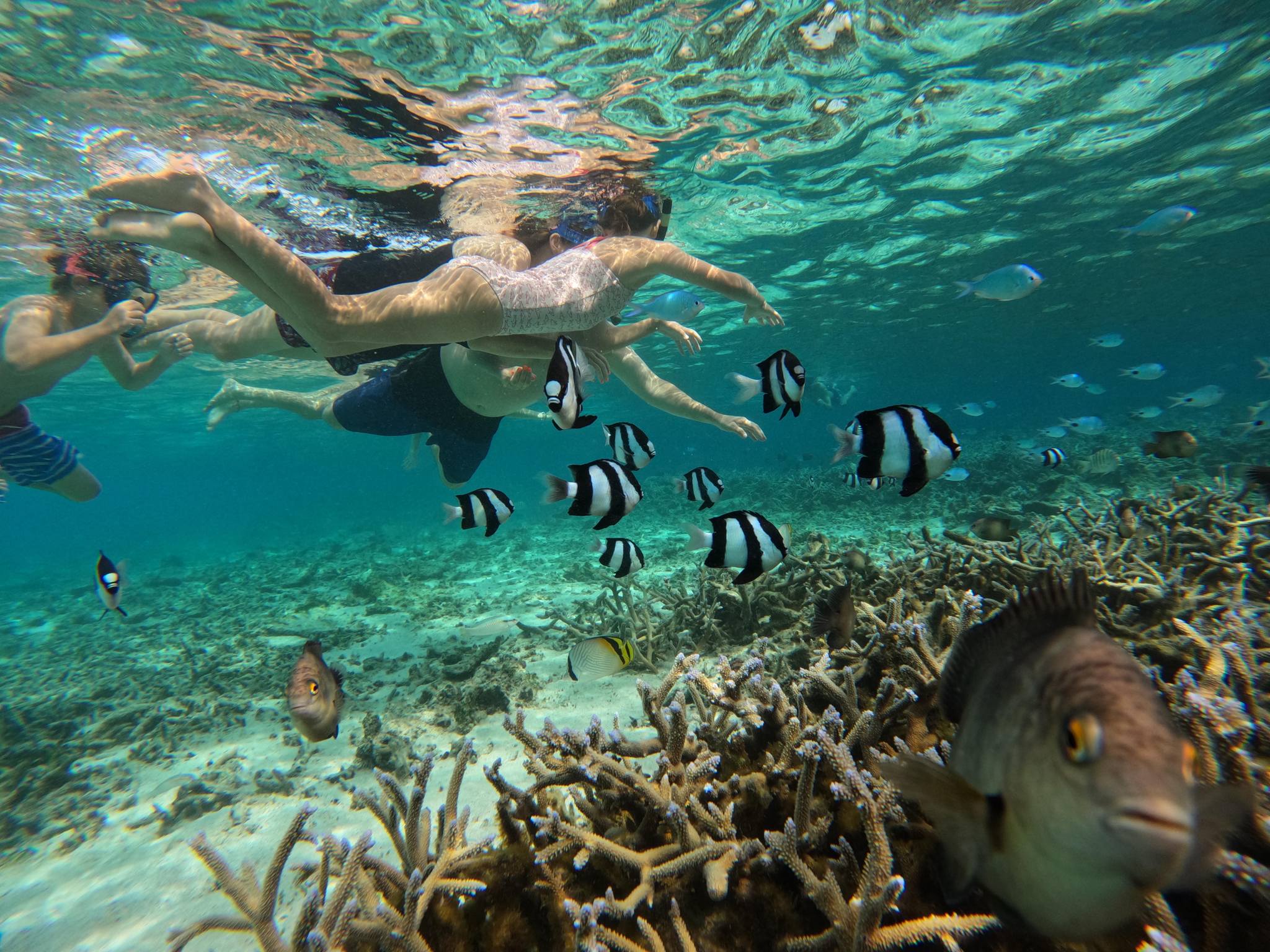 One Drop Excursions Mauritius | Grand Gaube