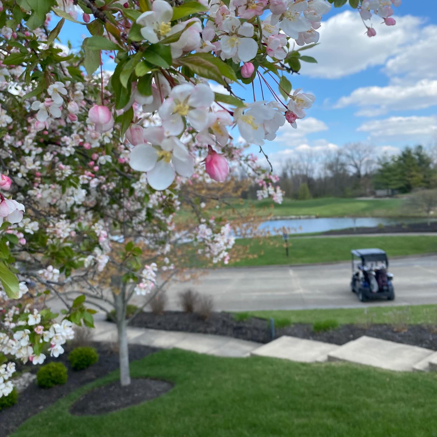 Manifesting spring at the club 🌷 Ready... - TPC River's Bend | Facebook