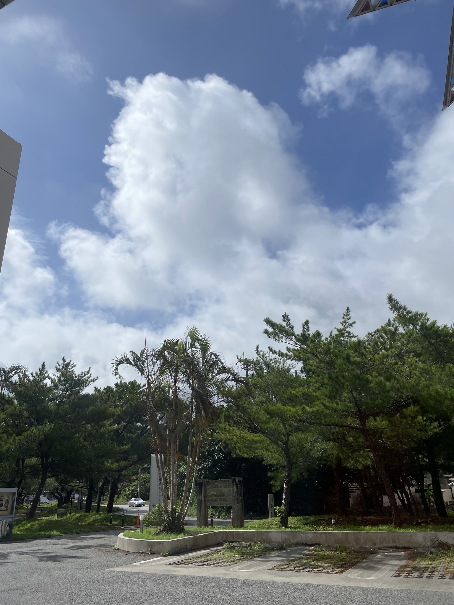 恩納 村 天気