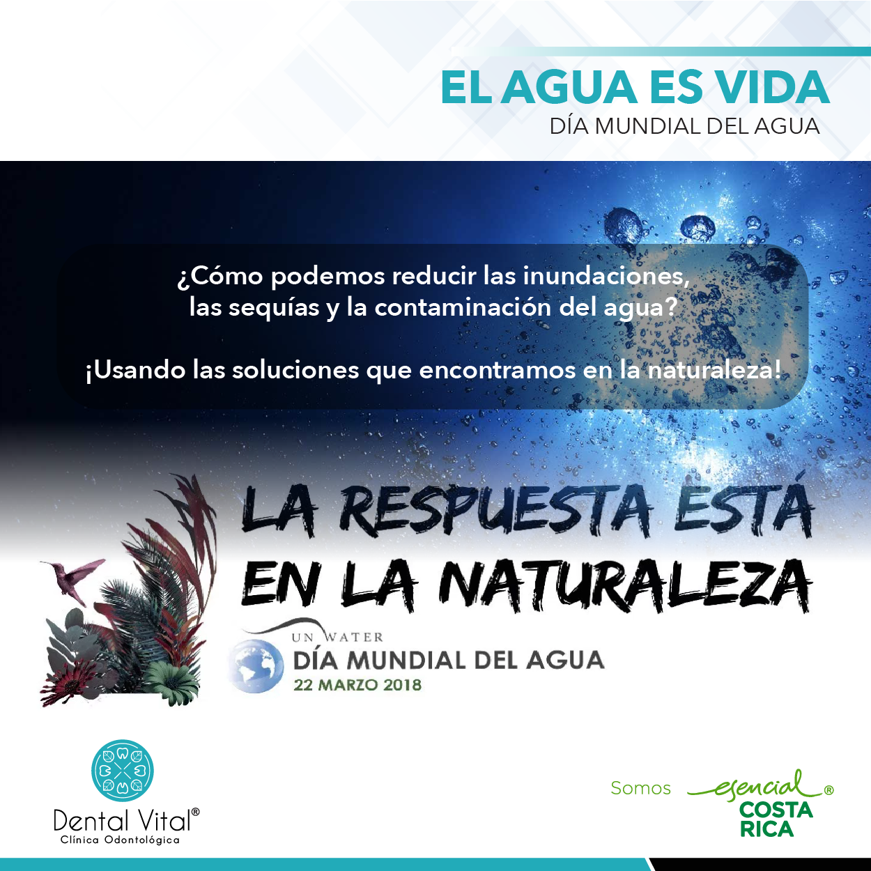 El consumo razonable y el uso... - Clínica Dental Vital