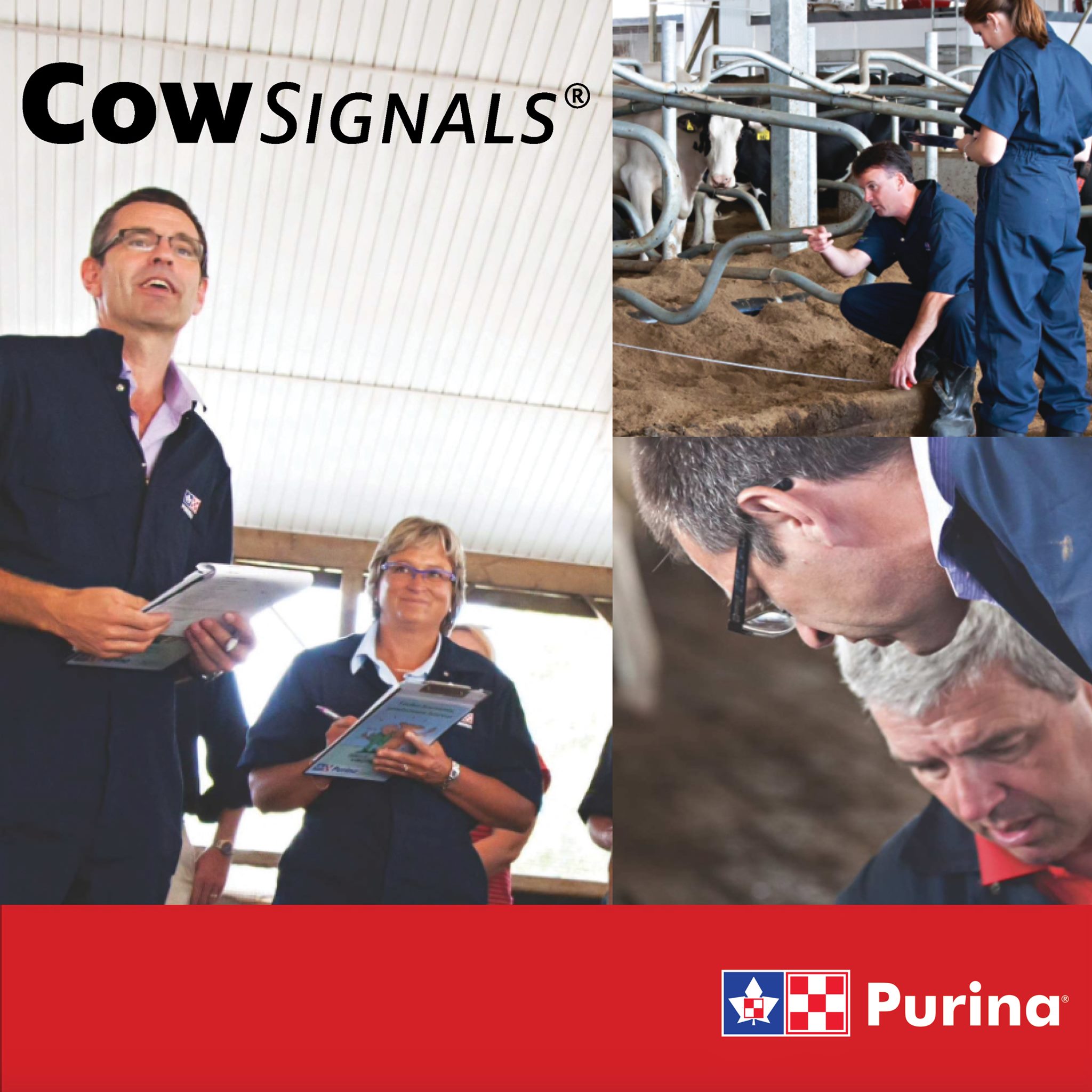 Purina ProActiv - This week we’re excited to showcase our partnership ...