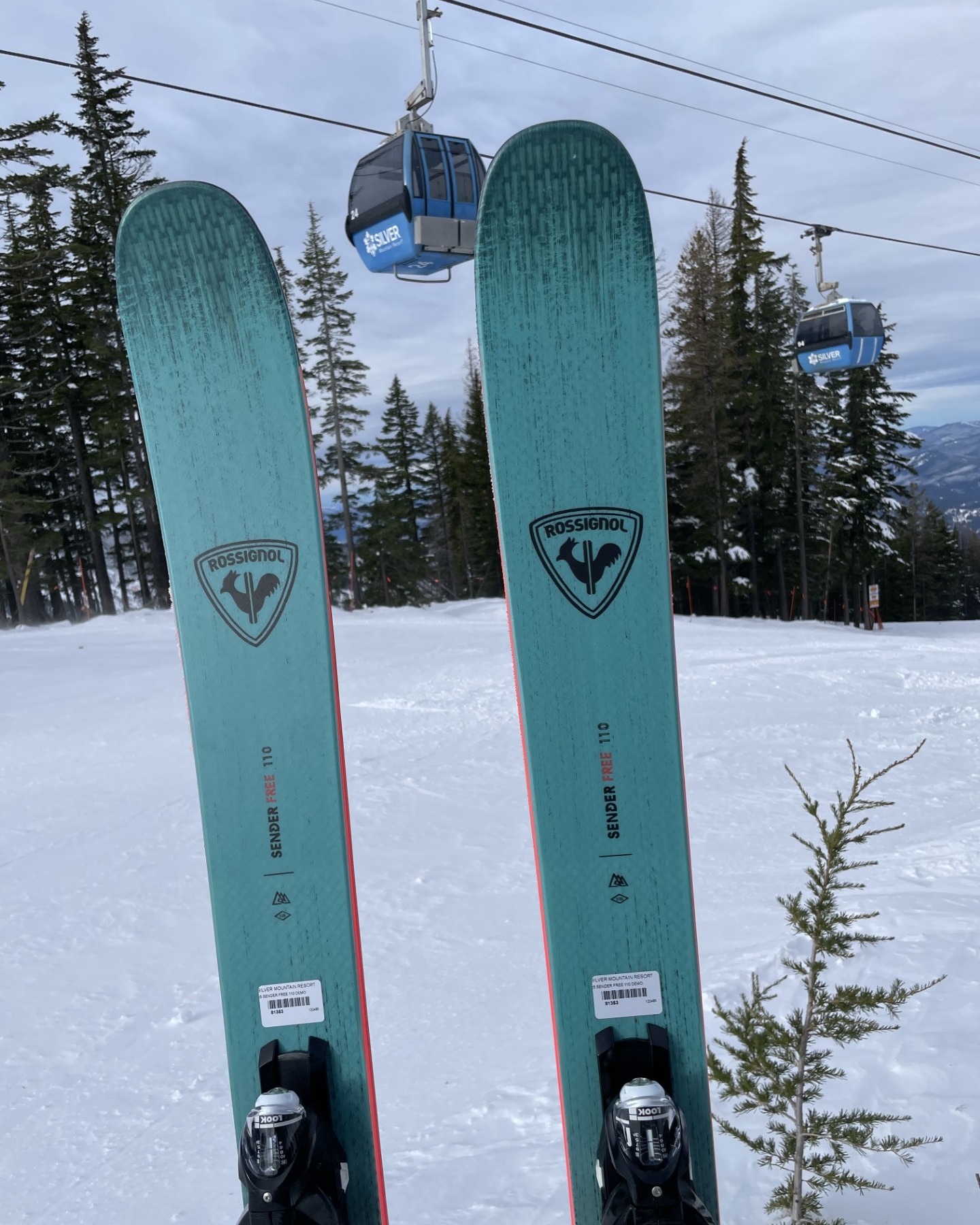 buy yes the greats snowboard 2026 crafted for both intermediate Wiring:White search-hidden Lululemon Everywhere Belt Bag