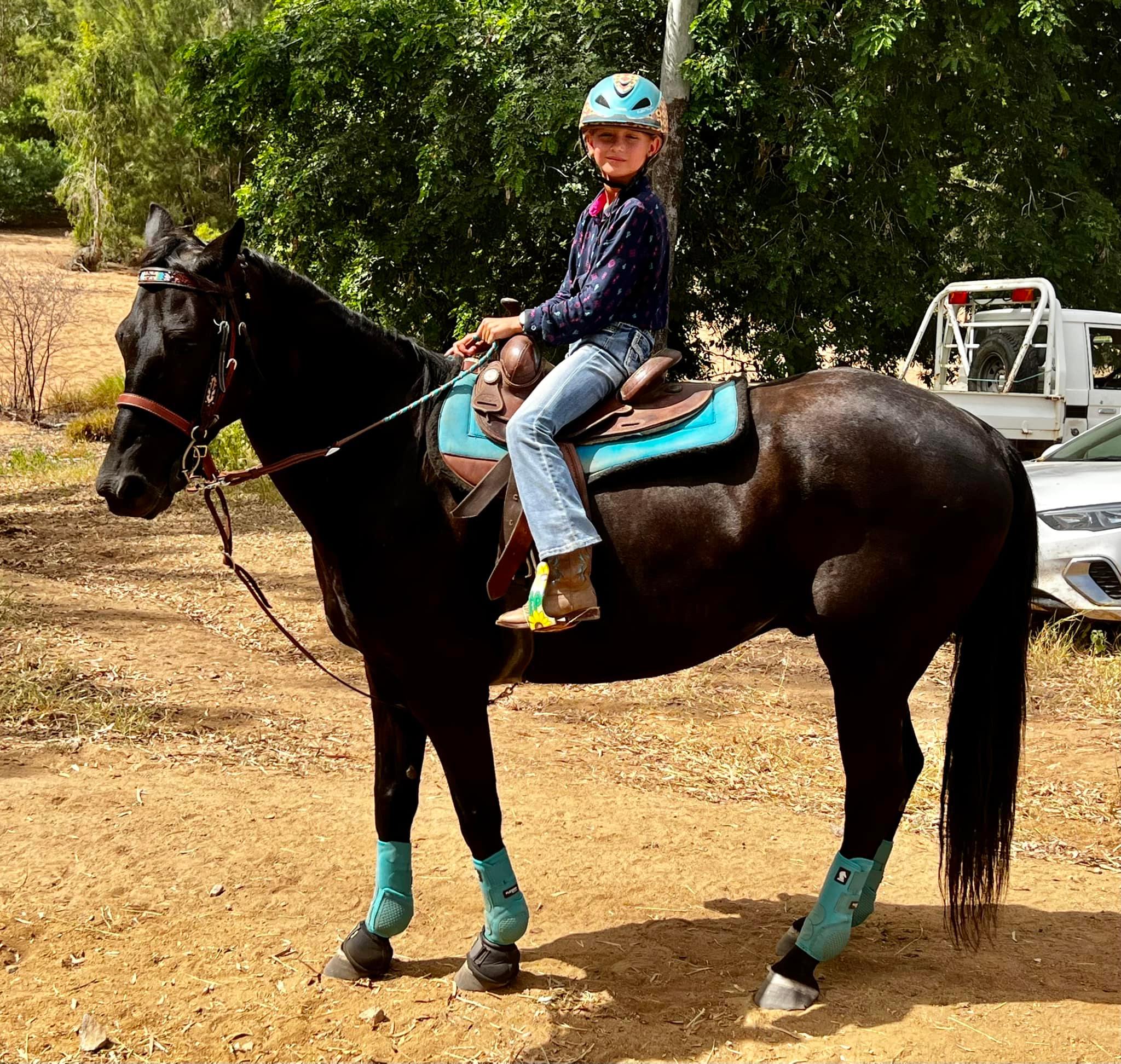 Diamond B Rodeo Supplies | Breddan QLD