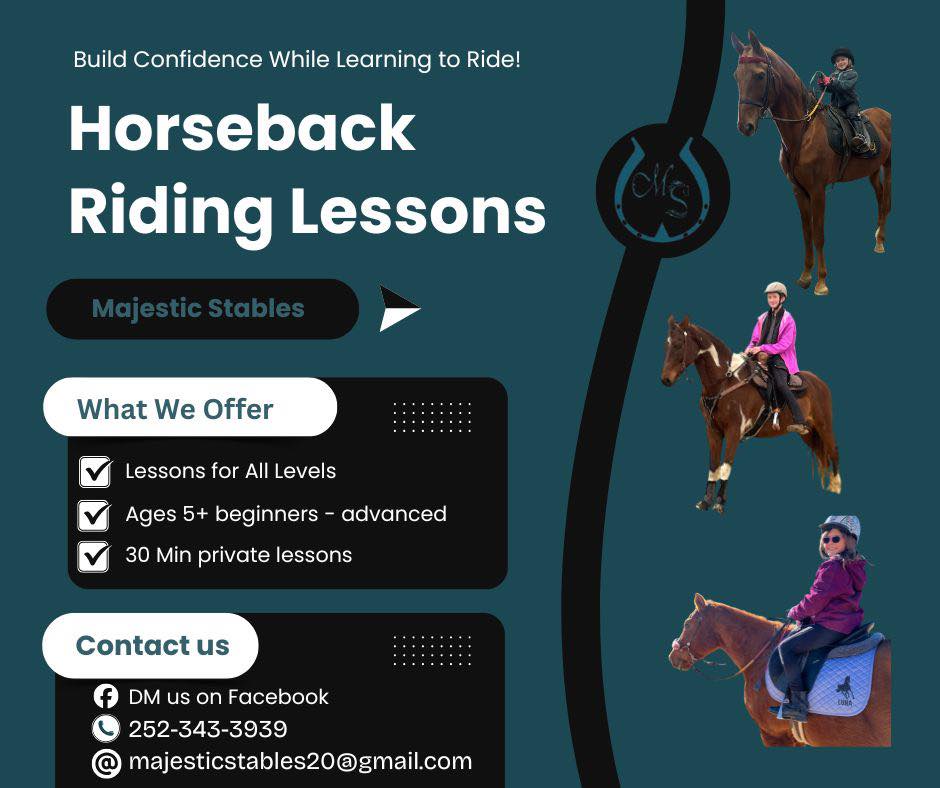 🐴Teach a kid to ride and watch them... - Majestic Stables | Facebook
