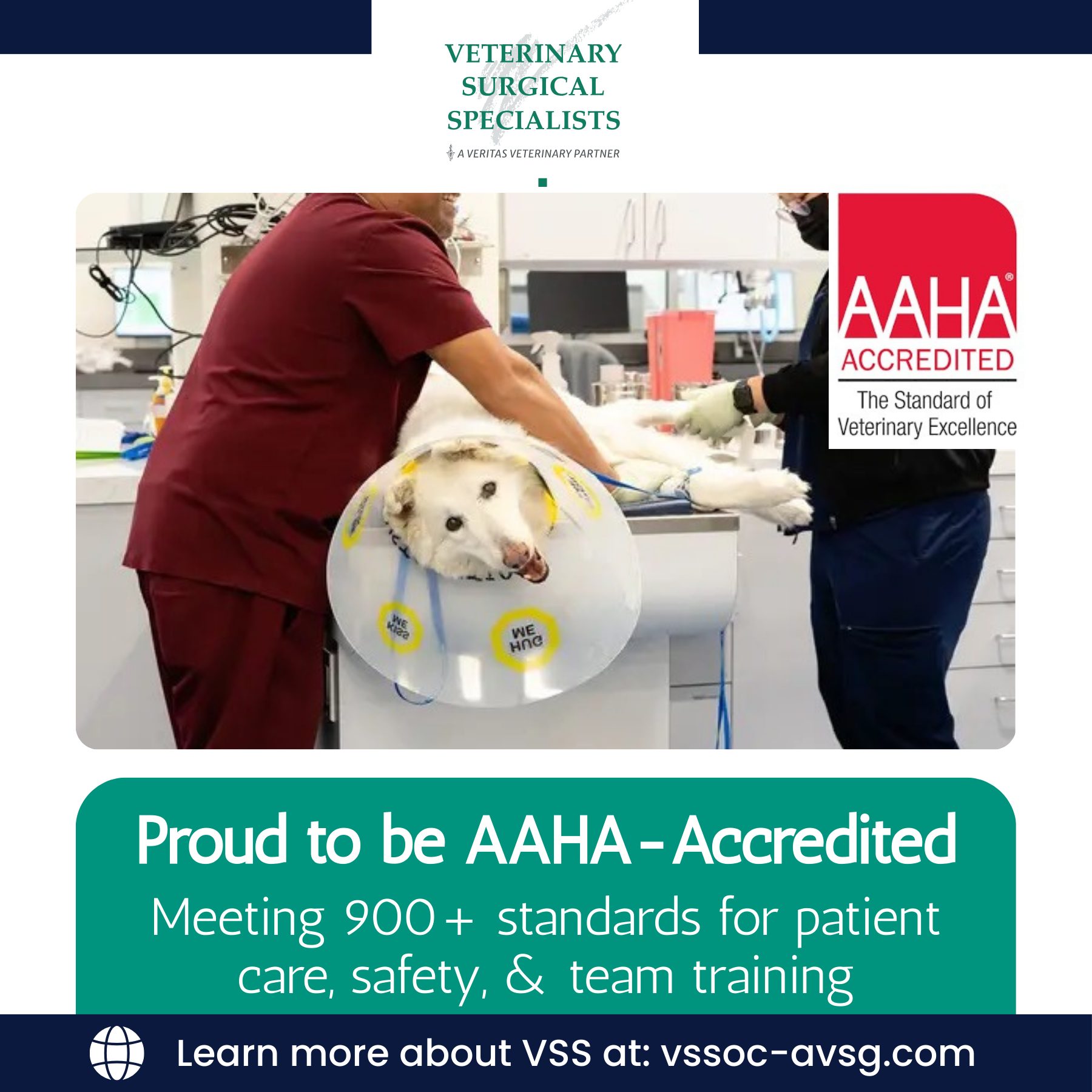 AAHA Guidelines - AAHA