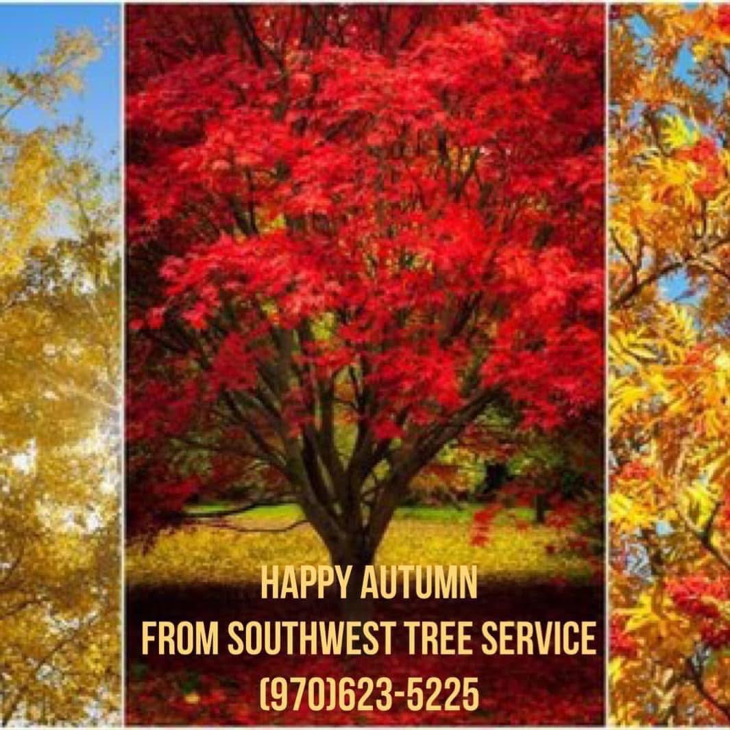 SouthWest Tree Service | Olathe CO