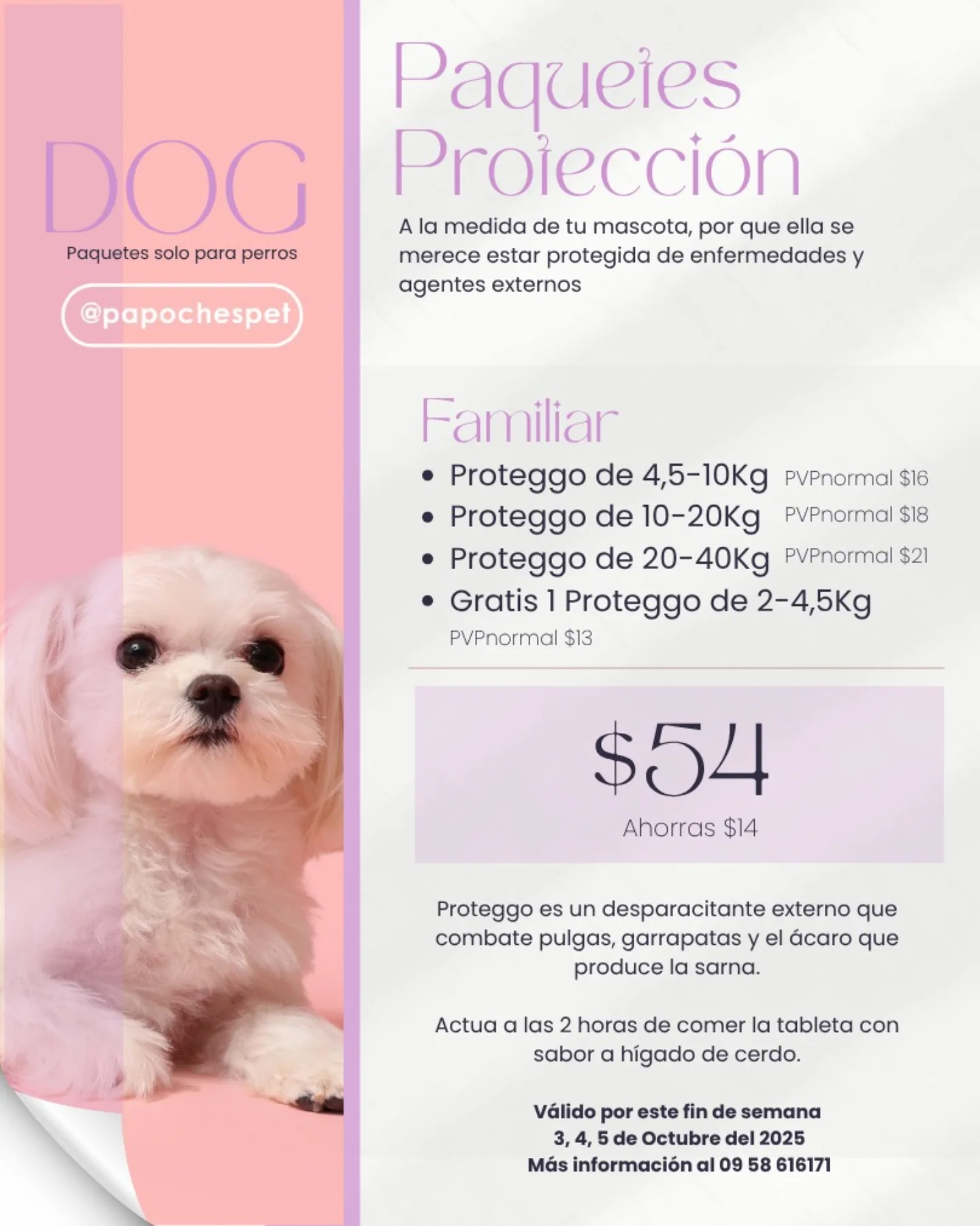 Papoche's Pet | Guayaquil