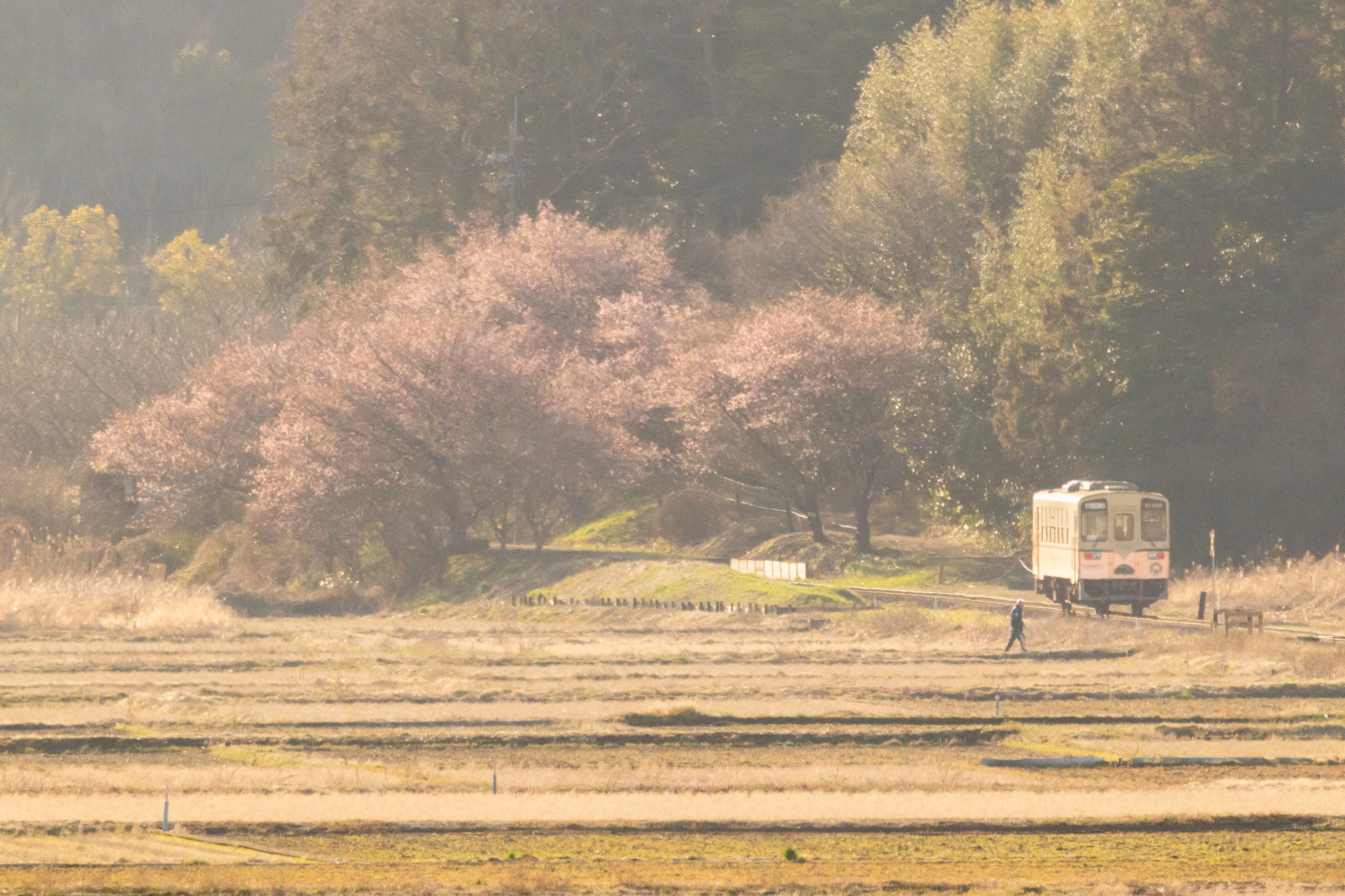 家族葬のひなた - ＊「天使の旅立ち」プランで、大切な赤ちゃんとのお別れを心を込めて＊ 川崎市麻生区にある葬儀場〈家族葬のひなた 百合ヶ丘家族 ...
