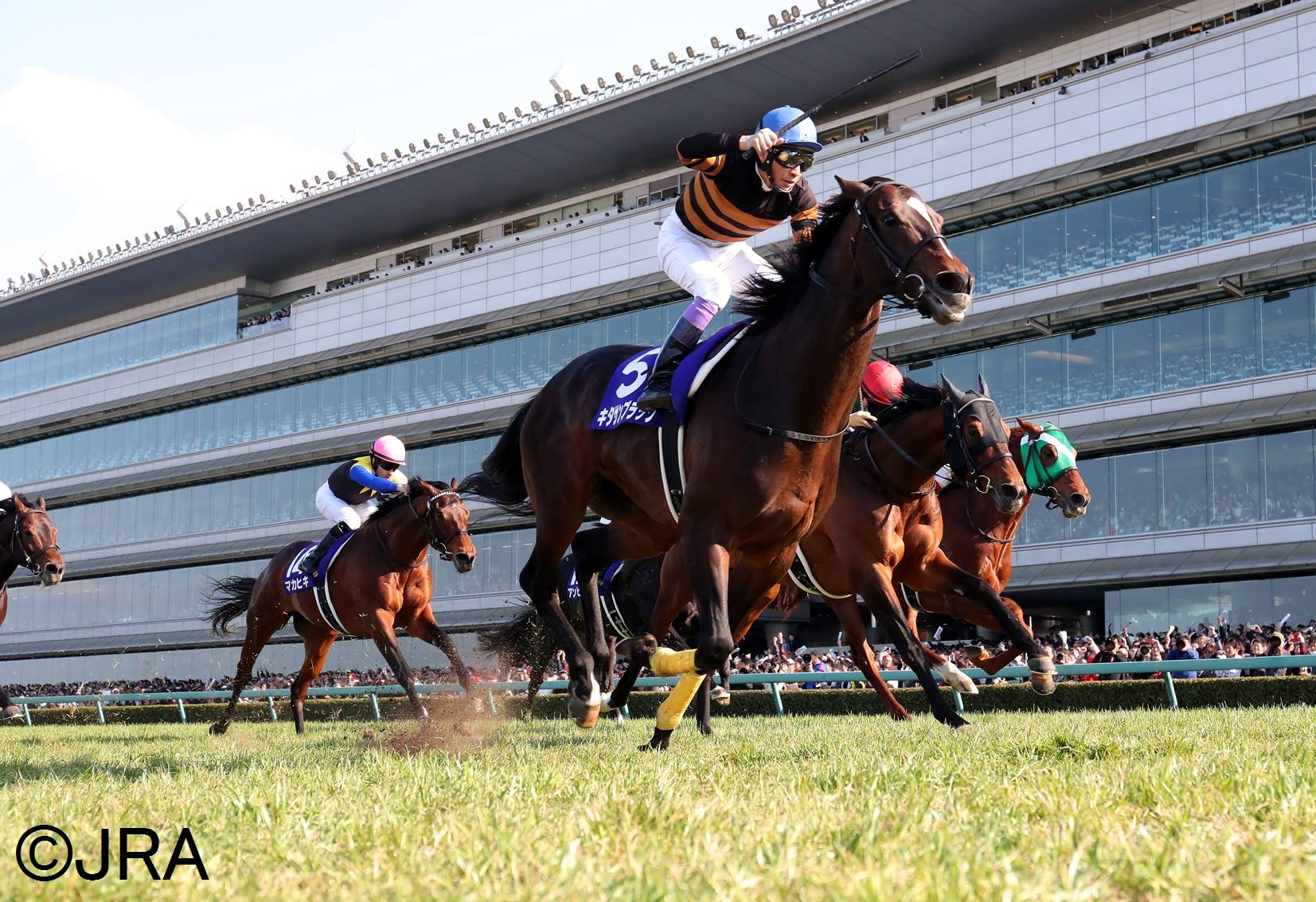 JRA（日本中央競馬会） - GI格上げ初年度の大阪杯。 栄えある初代