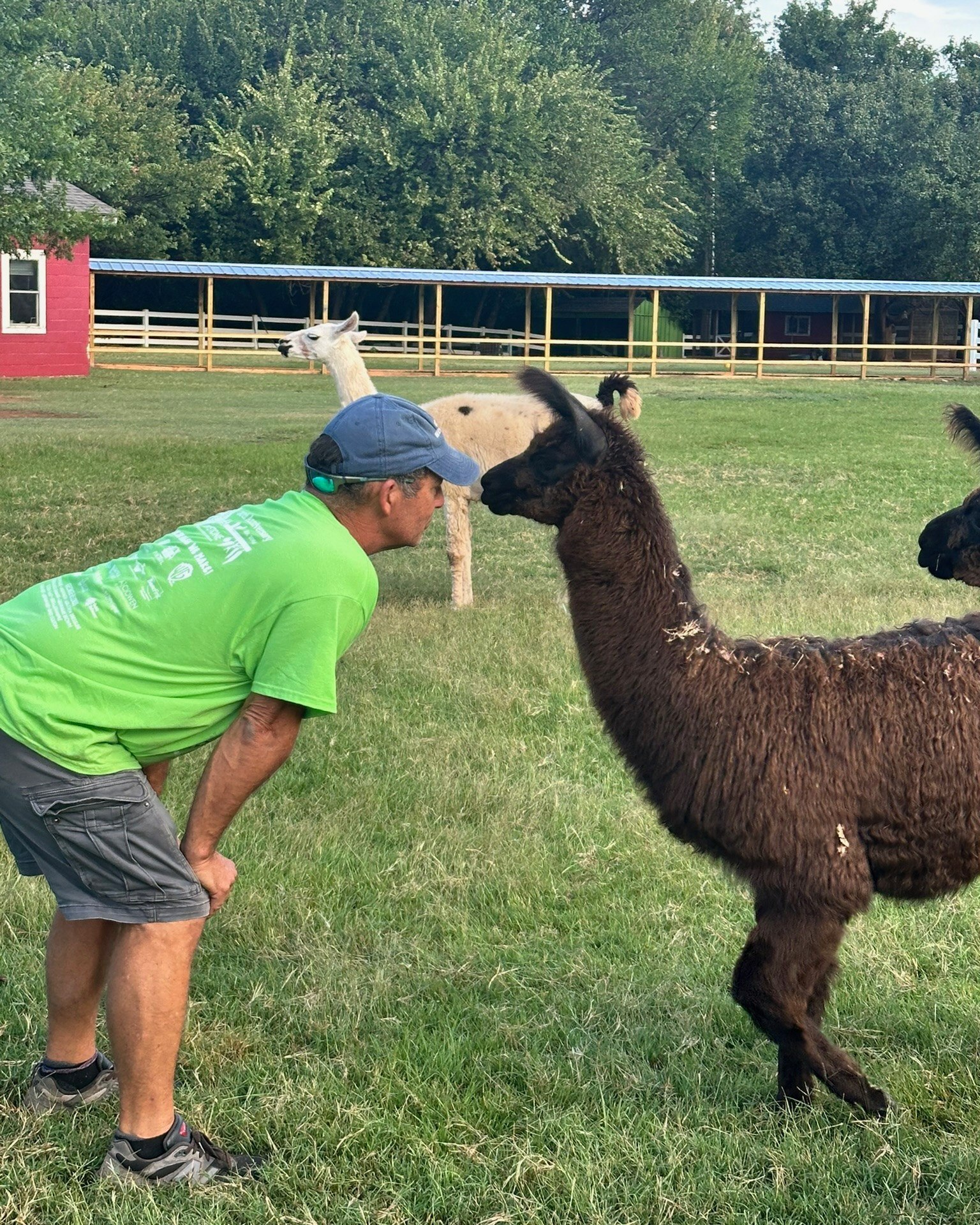 Keystone Adventure... - Keystone Adventure School and Farm