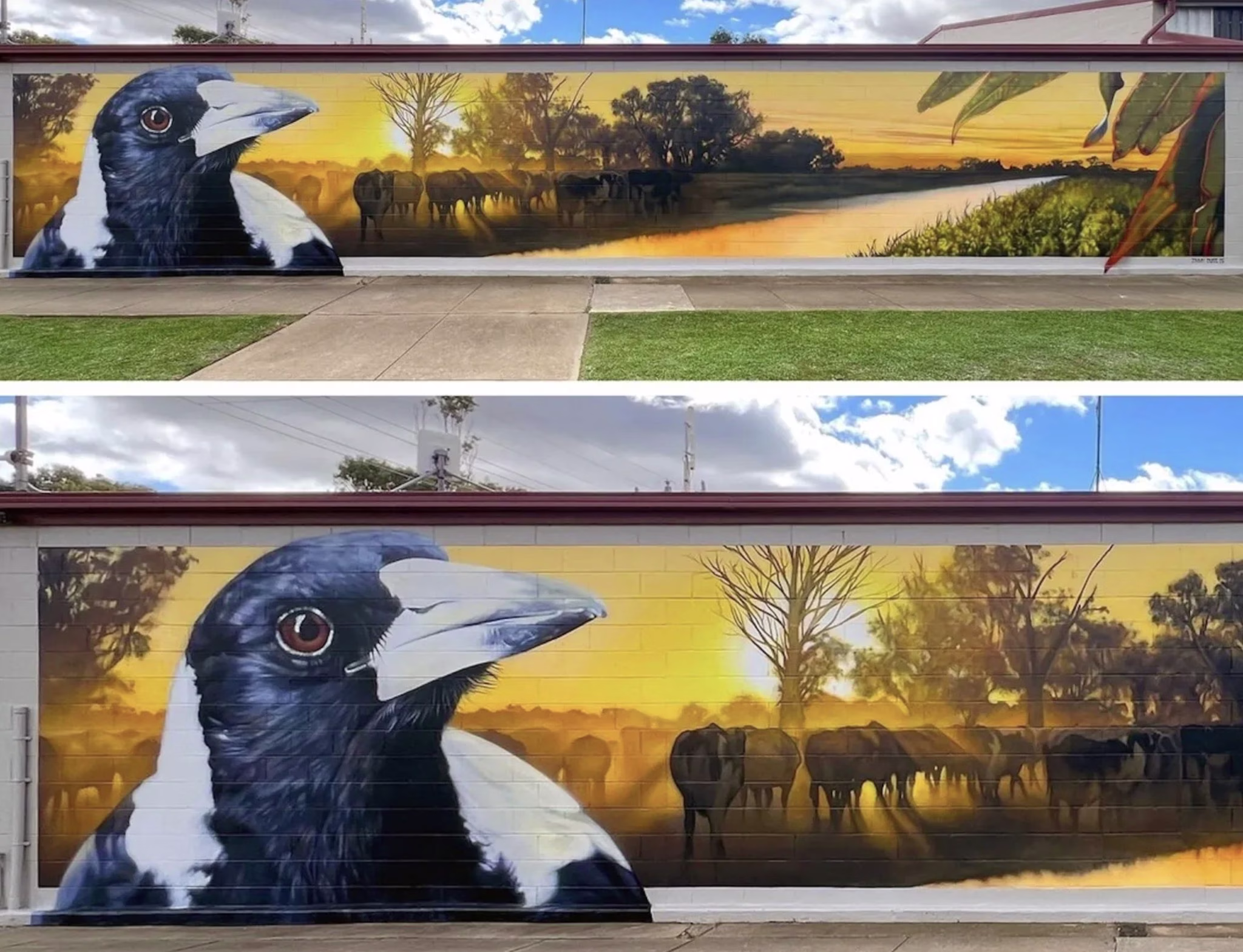 🐦 Sunrise Country — By D-V-Ate in Lockington, Australia 🇦🇺 #3
