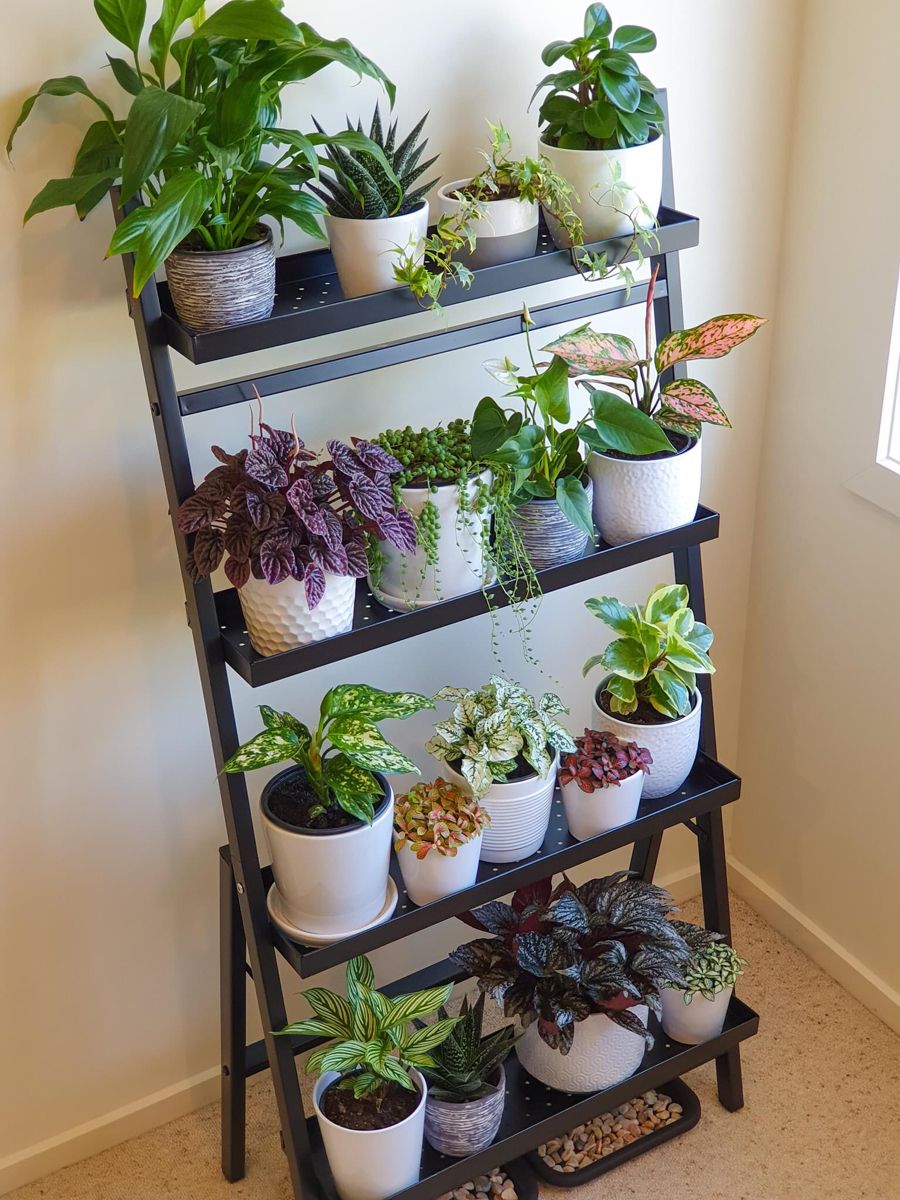 Amazing - Shelf hack: For those of you who've run out of windowsill ...
