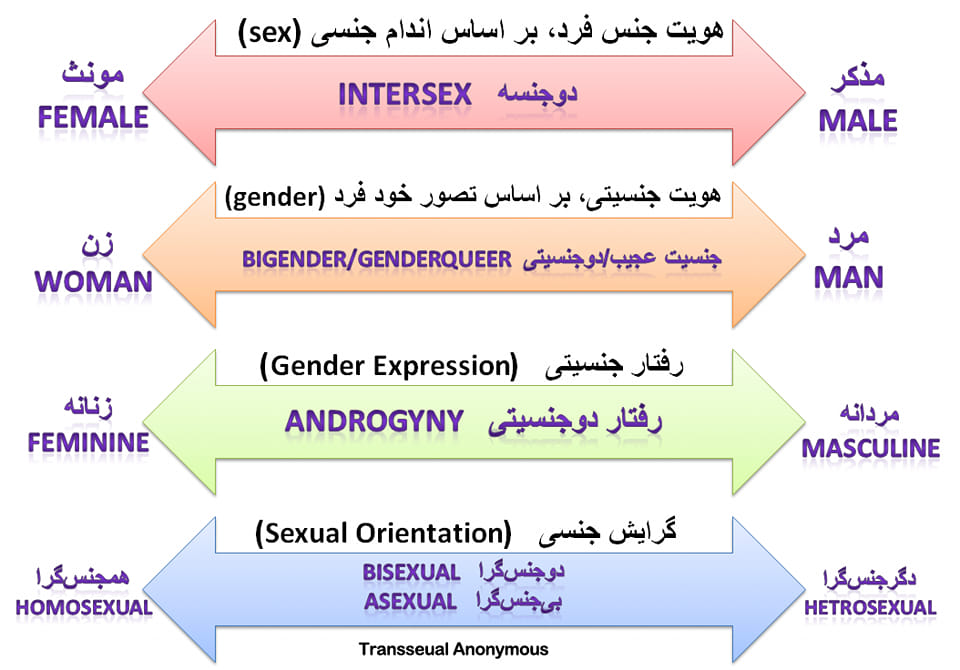 همجنسگرایان افغانستان Afghanistan LGBT Community - اگر هنوز آشکارسازی ...