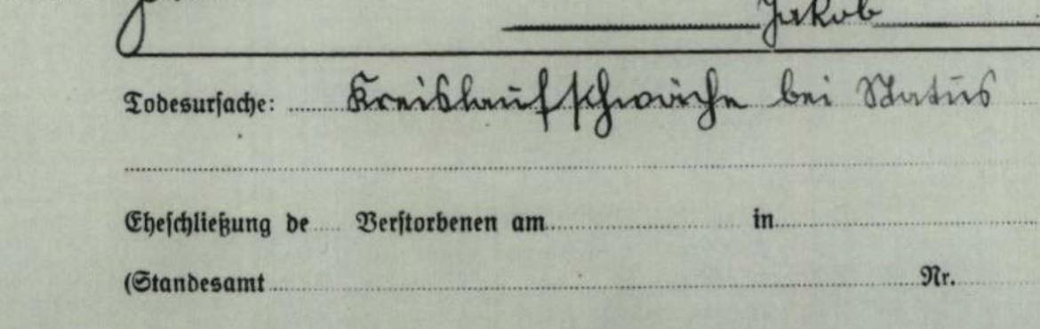 Alte Schriften entziffern Sütterlin Kurrent | 36 von 96, es fehlen ...