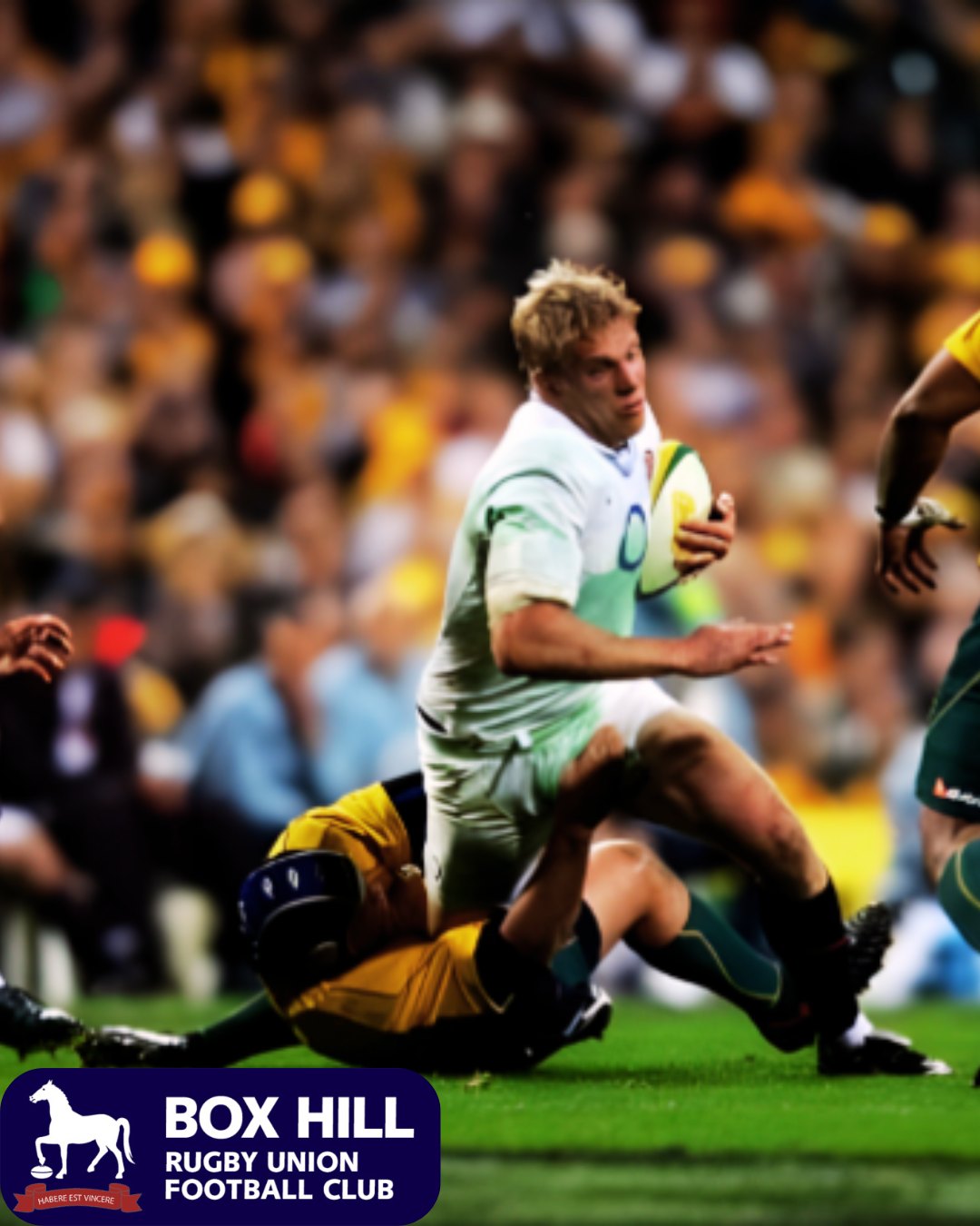 Box Hill Rugby Union Football Club | Box Hill VIC