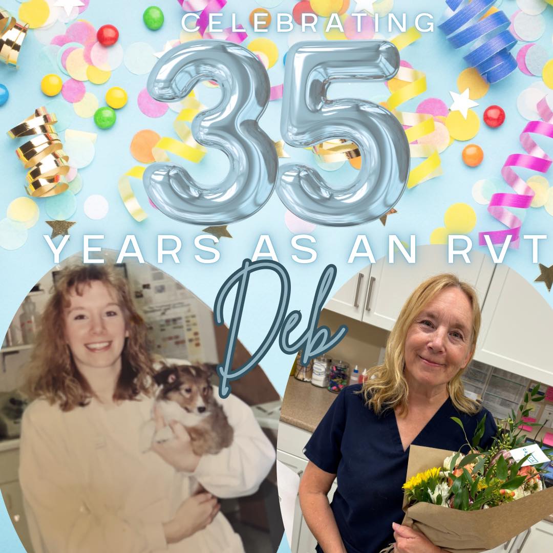 Clearspring - 🌟 RVT Month Spotlight: Debbie 🌟 This year marks 35 years ...