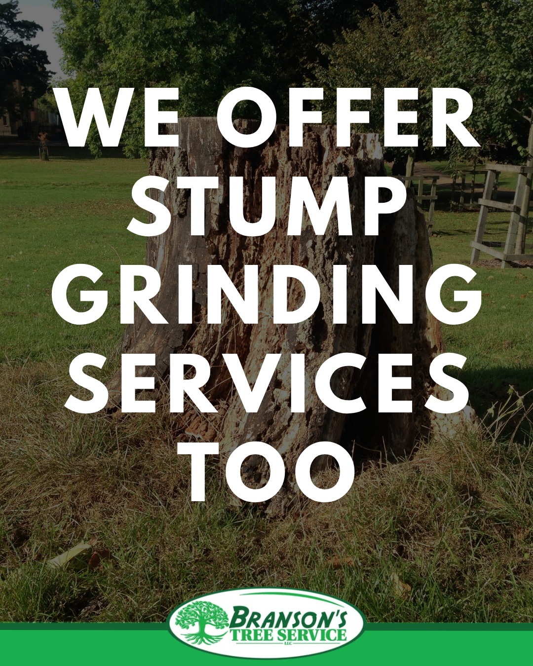 Branson's Tree Service | Fredericksburg VA