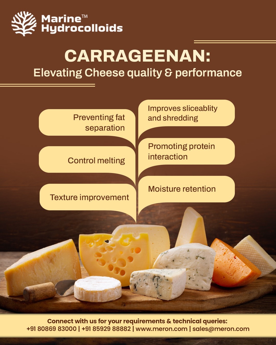 Marine - Carrageenan enhances the texture, stability and functionality ...