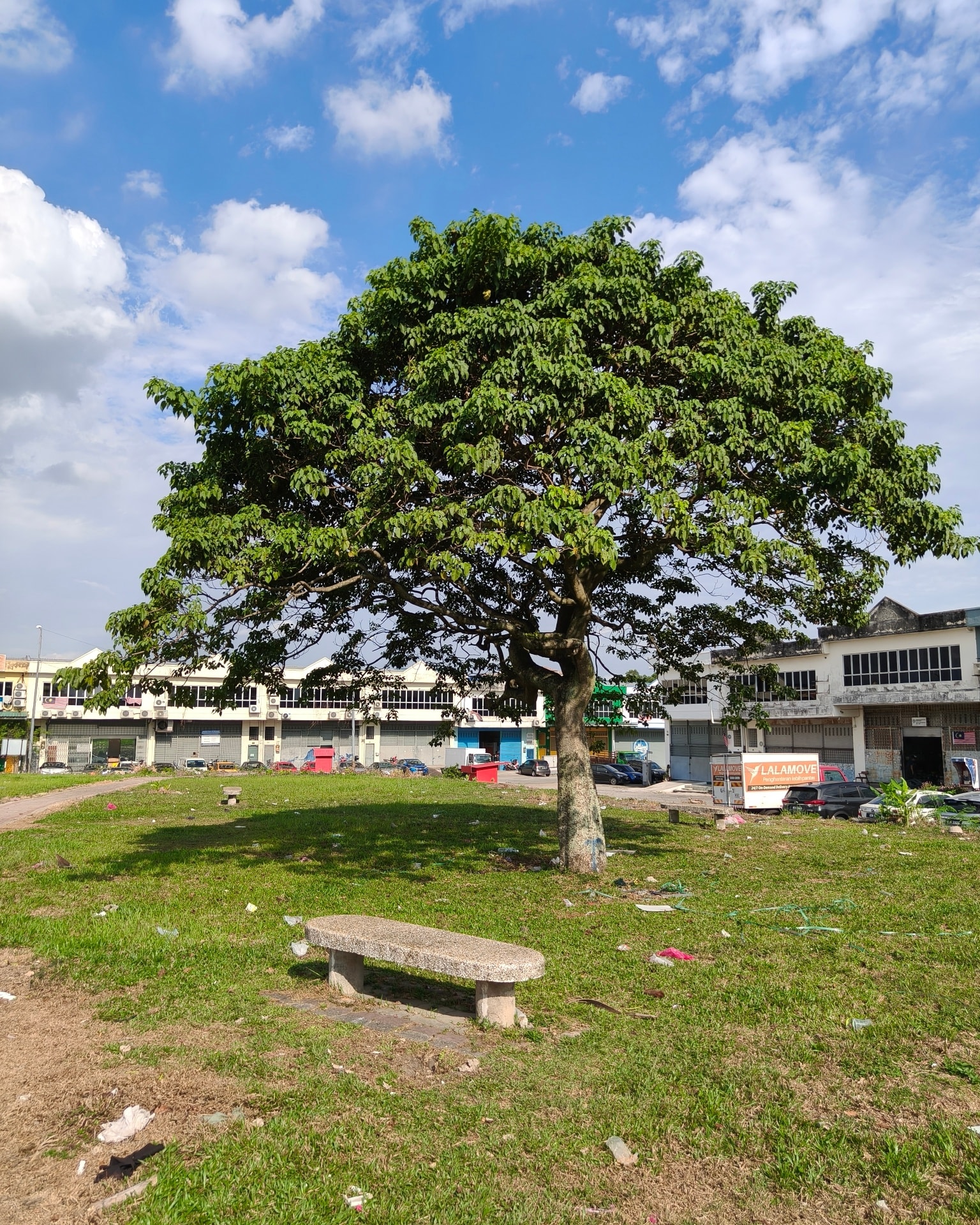 TAL Landscape - Transforming Green Spaces for the... | Facebook