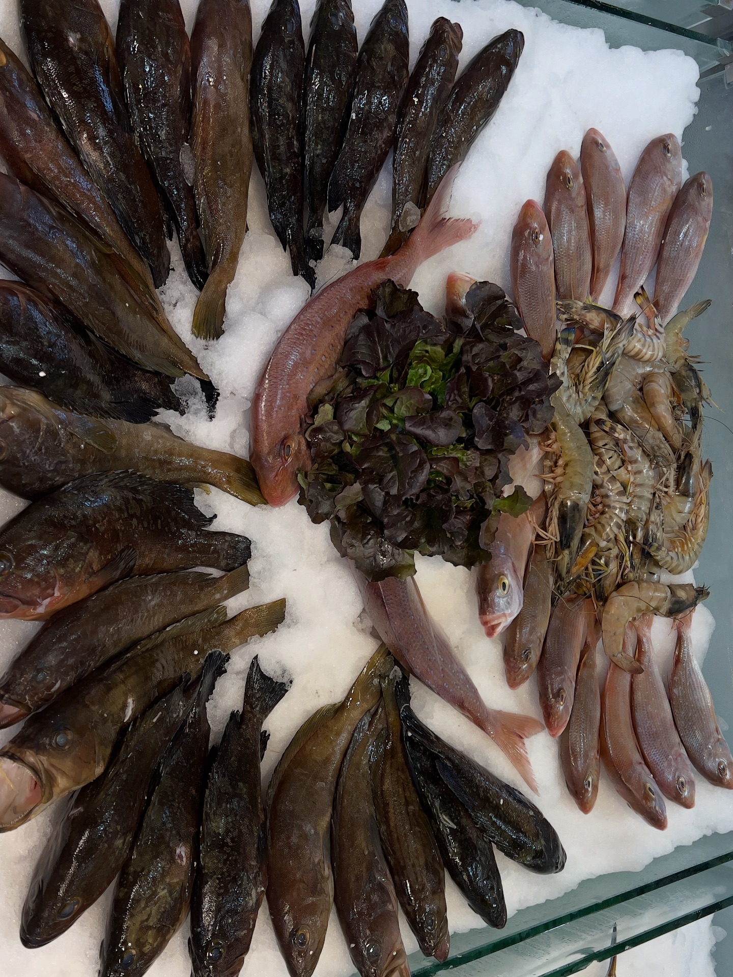 FADI FISH | Beirut