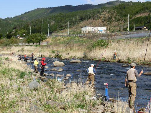 益田川上流漁業協同組合 昨日 ５月5日はひだ桃源郷くぐのアマゴ釣り大会でした 148名が参加 Facebook