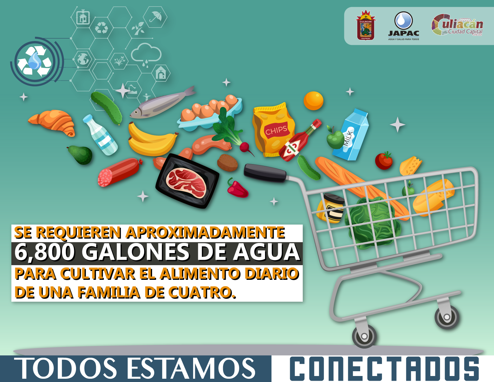 JAPAC Culiacán - En el mundo🌎, todos los seres vivos... | Facebook