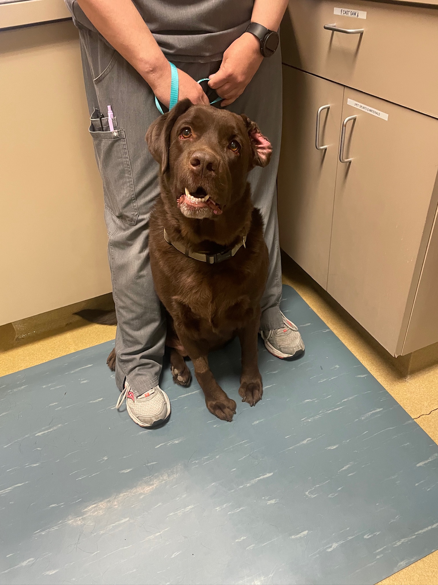 CARE - Kona Ward recently underwent a pinnectomy — the removal of part ...