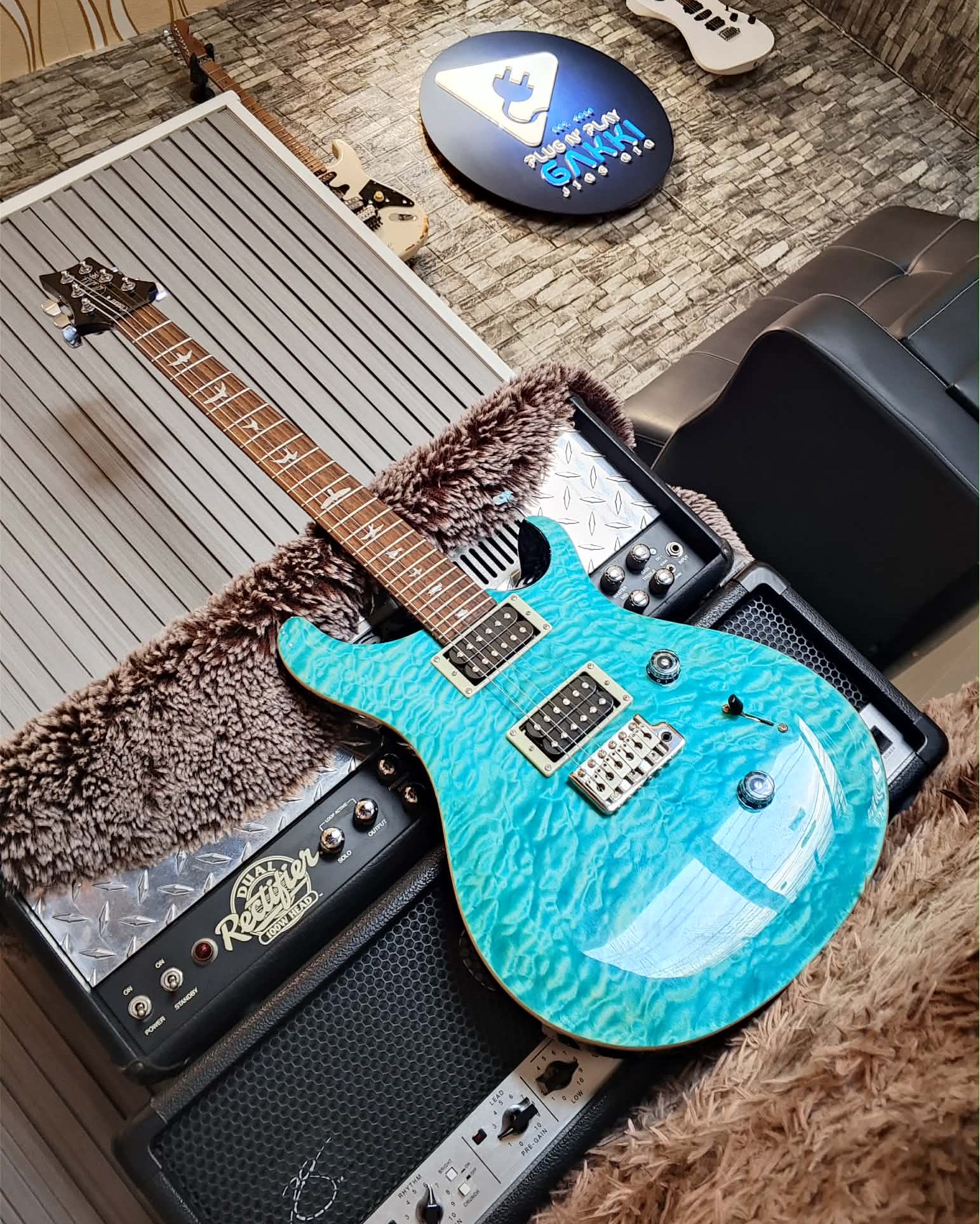 💎 Vibrant Looks, Legendary Tone! Turn heads with the PRS SE
